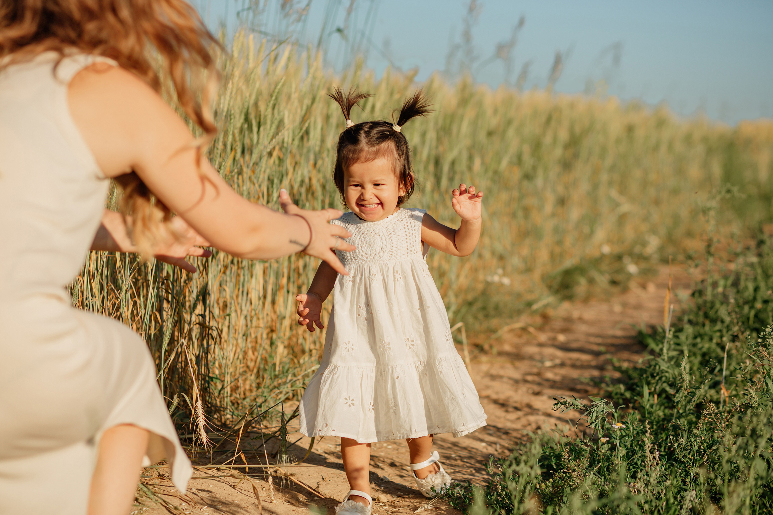 Прогулка в пшенице. Главная