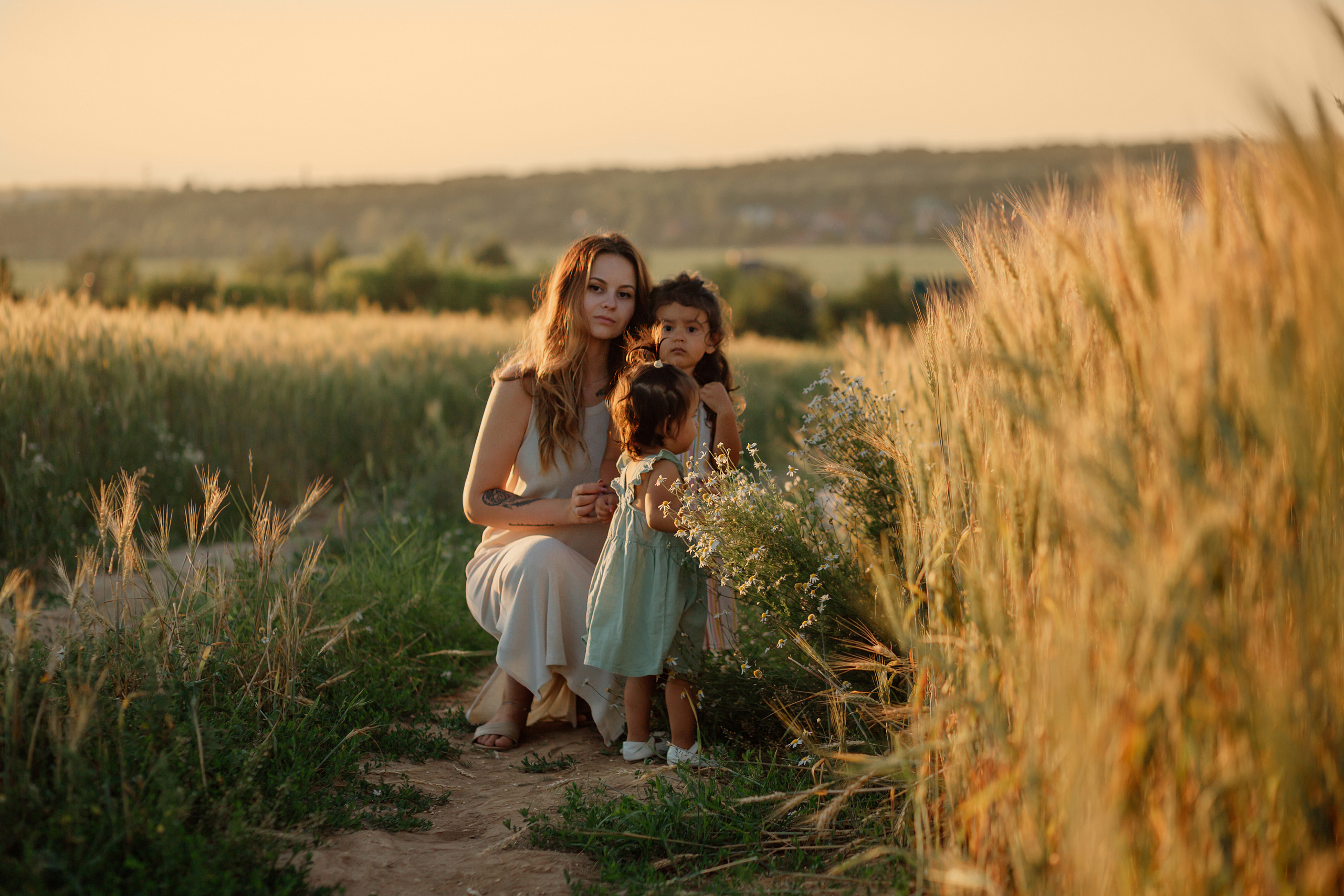 Прогулка в пшенице. Главная