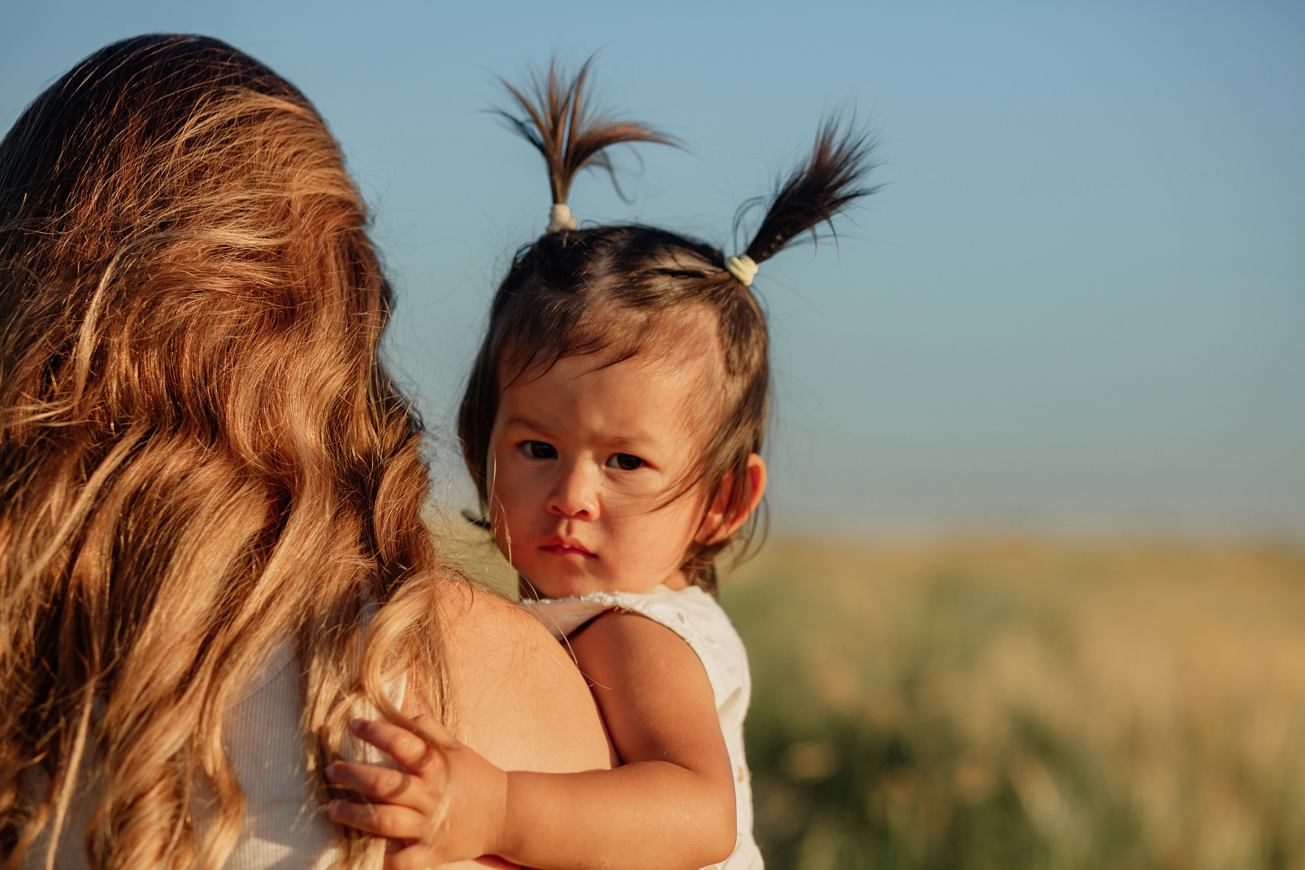 Прогулка в пшенице. Главная