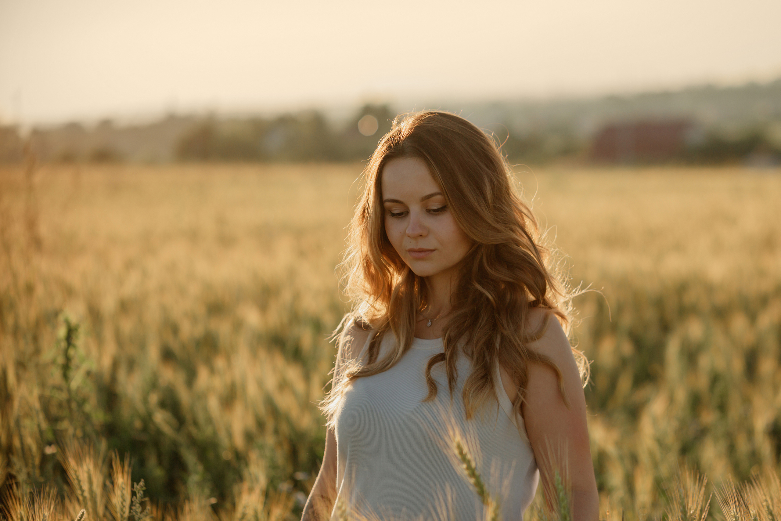 Прогулка в пшенице. Главная