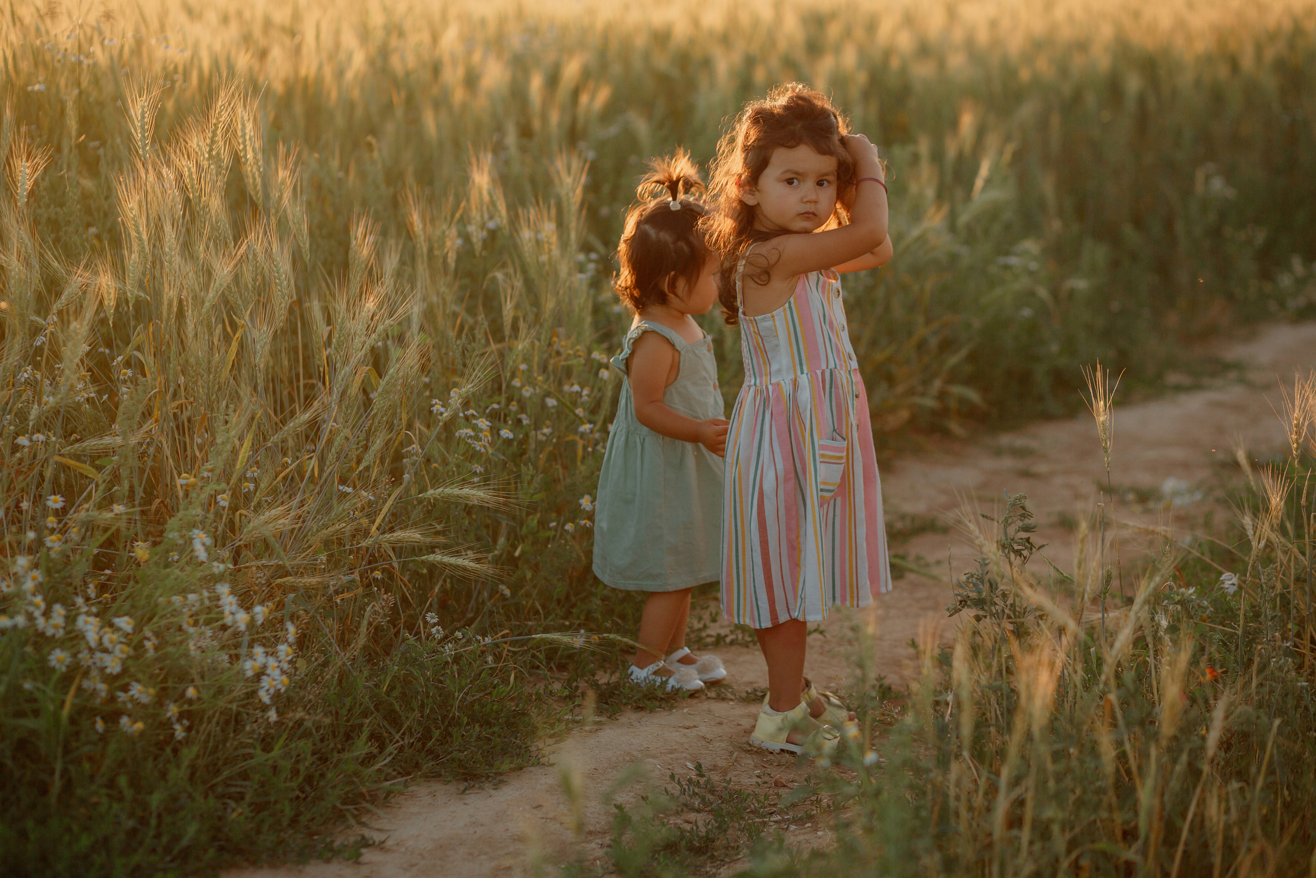 Прогулка в пшенице. Главная