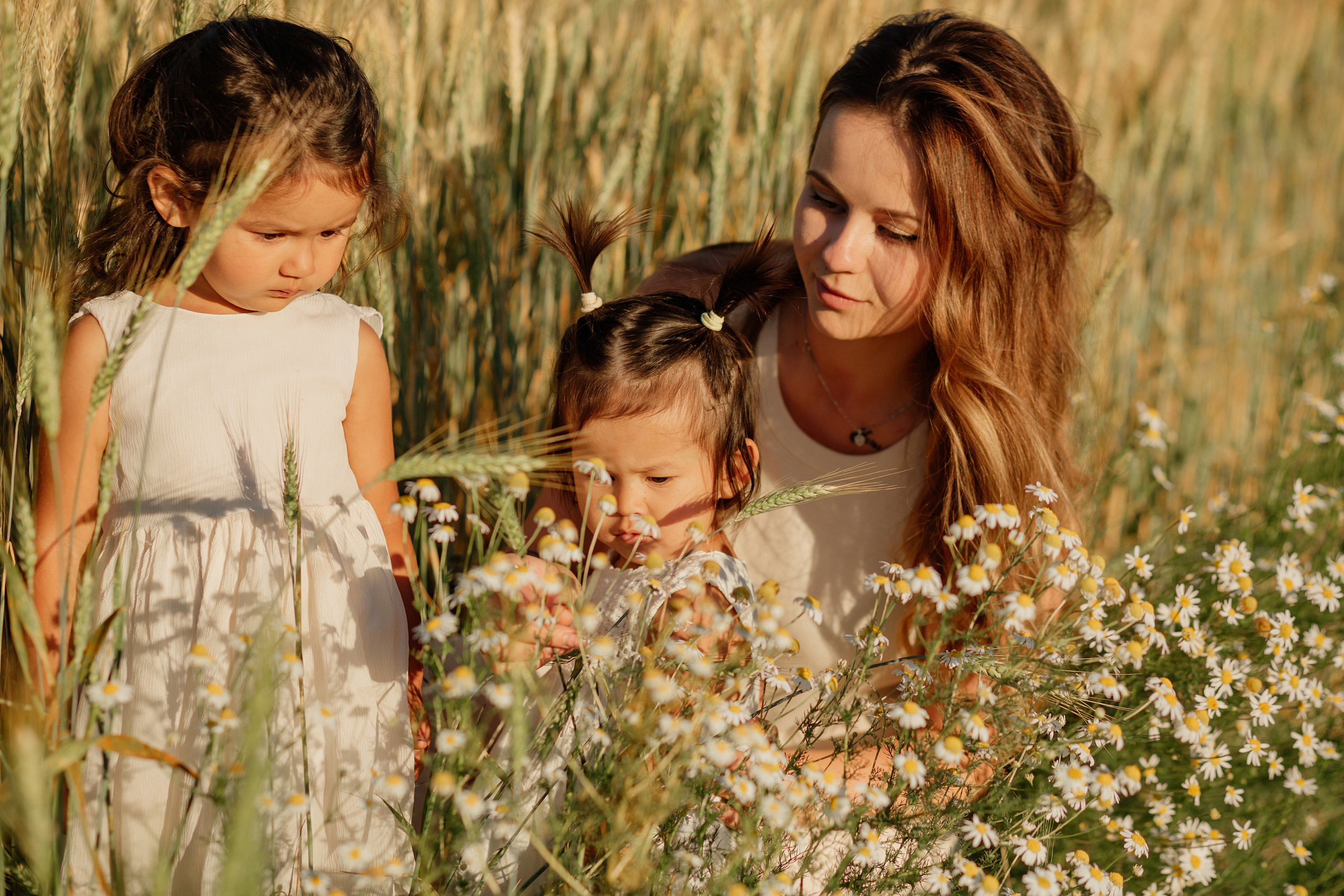 Прогулка в пшенице. Главная