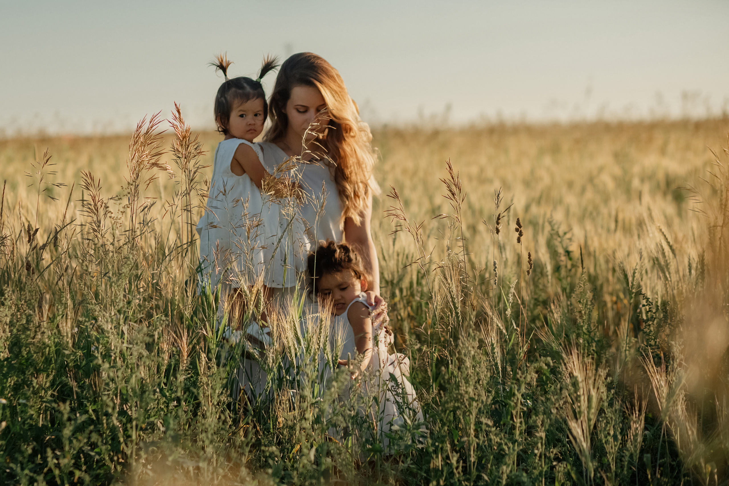 Прогулка в пшенице. Главная