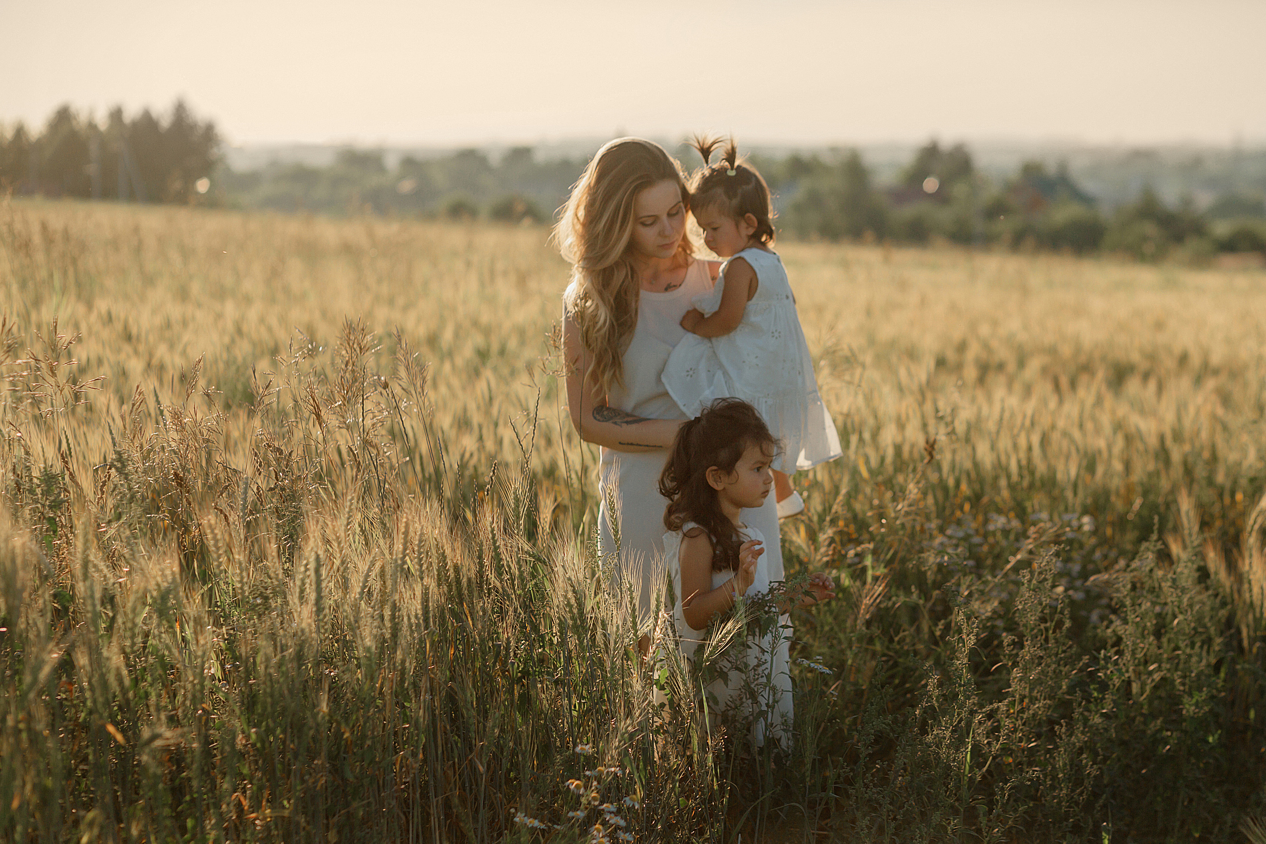 Прогулка в пшенице. Главная