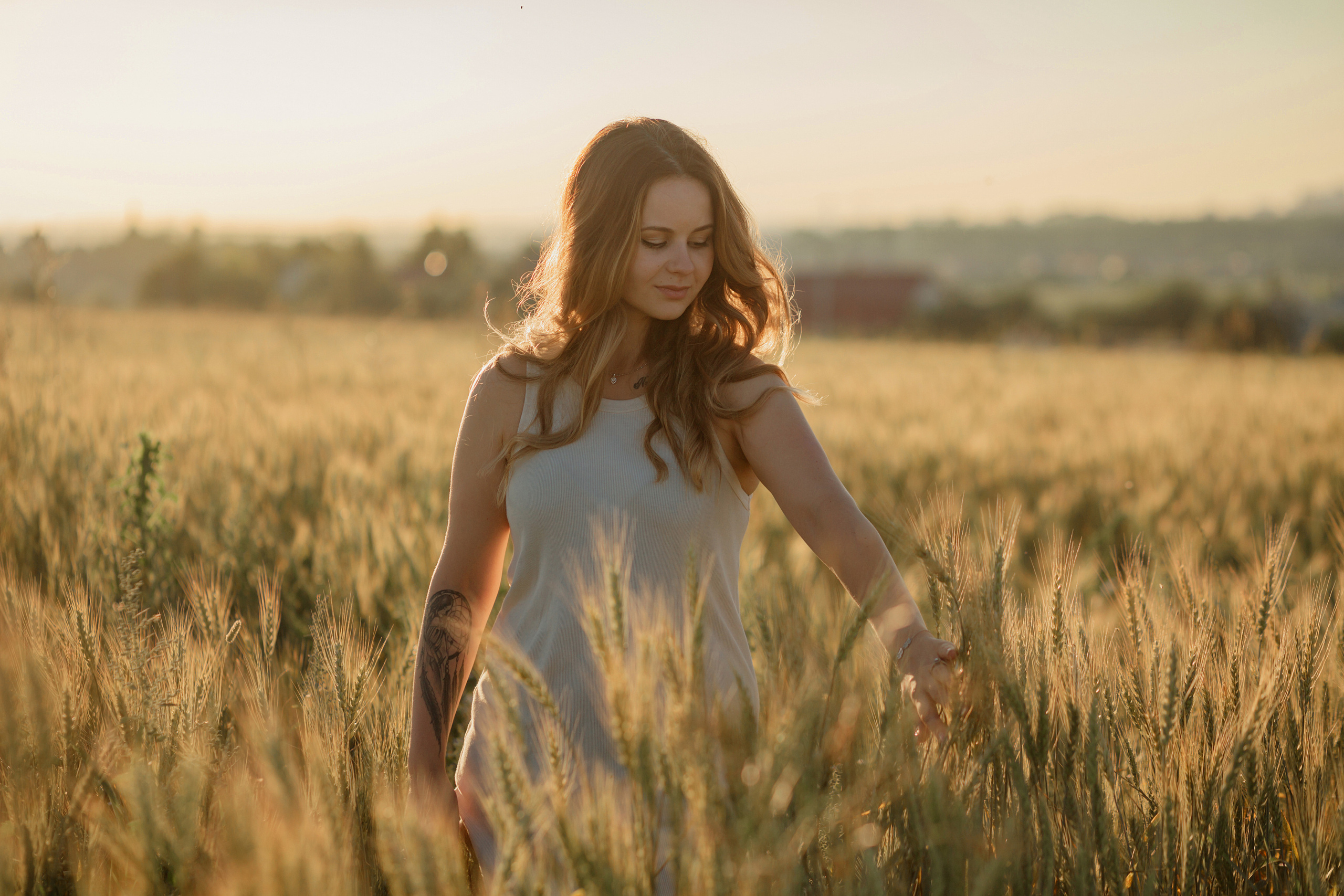 Прогулка в пшенице. Главная