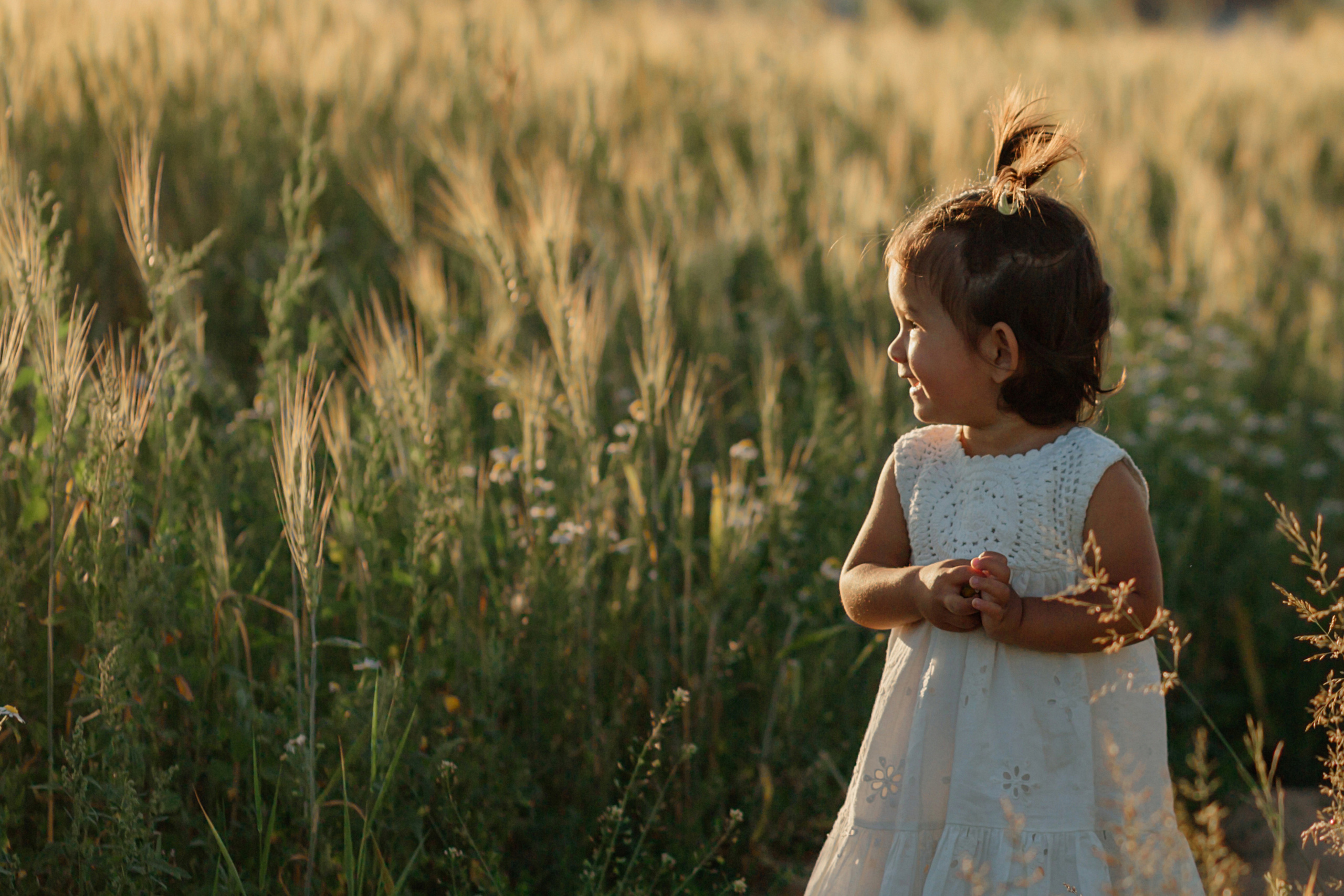 Прогулка в пшенице. Главная