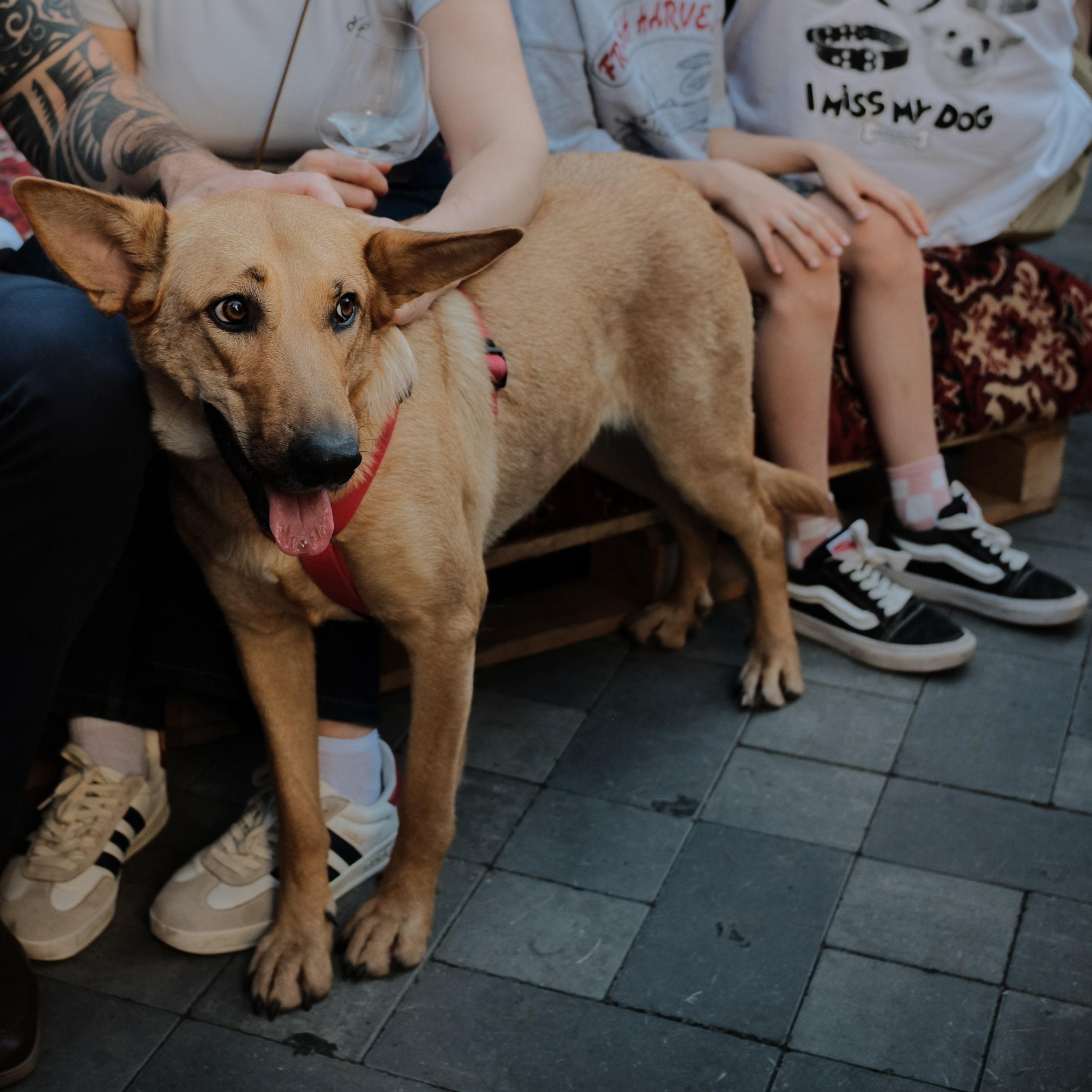 Rostov-on-Don. Creative travel photographer — Berg Daria