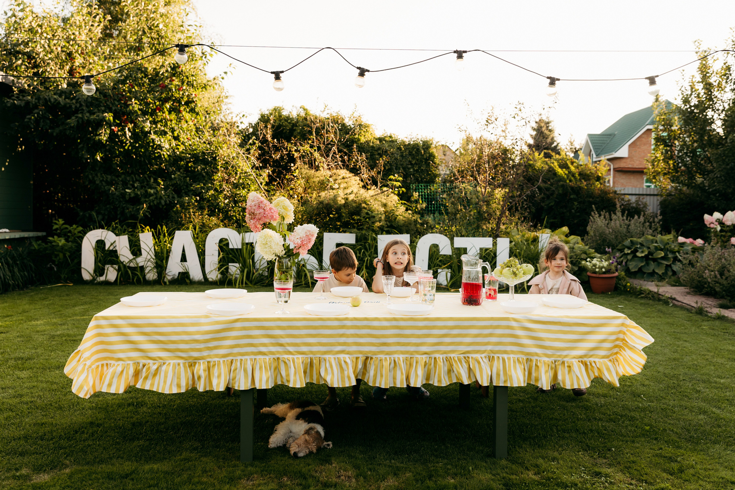 Большая дачная история. Главная