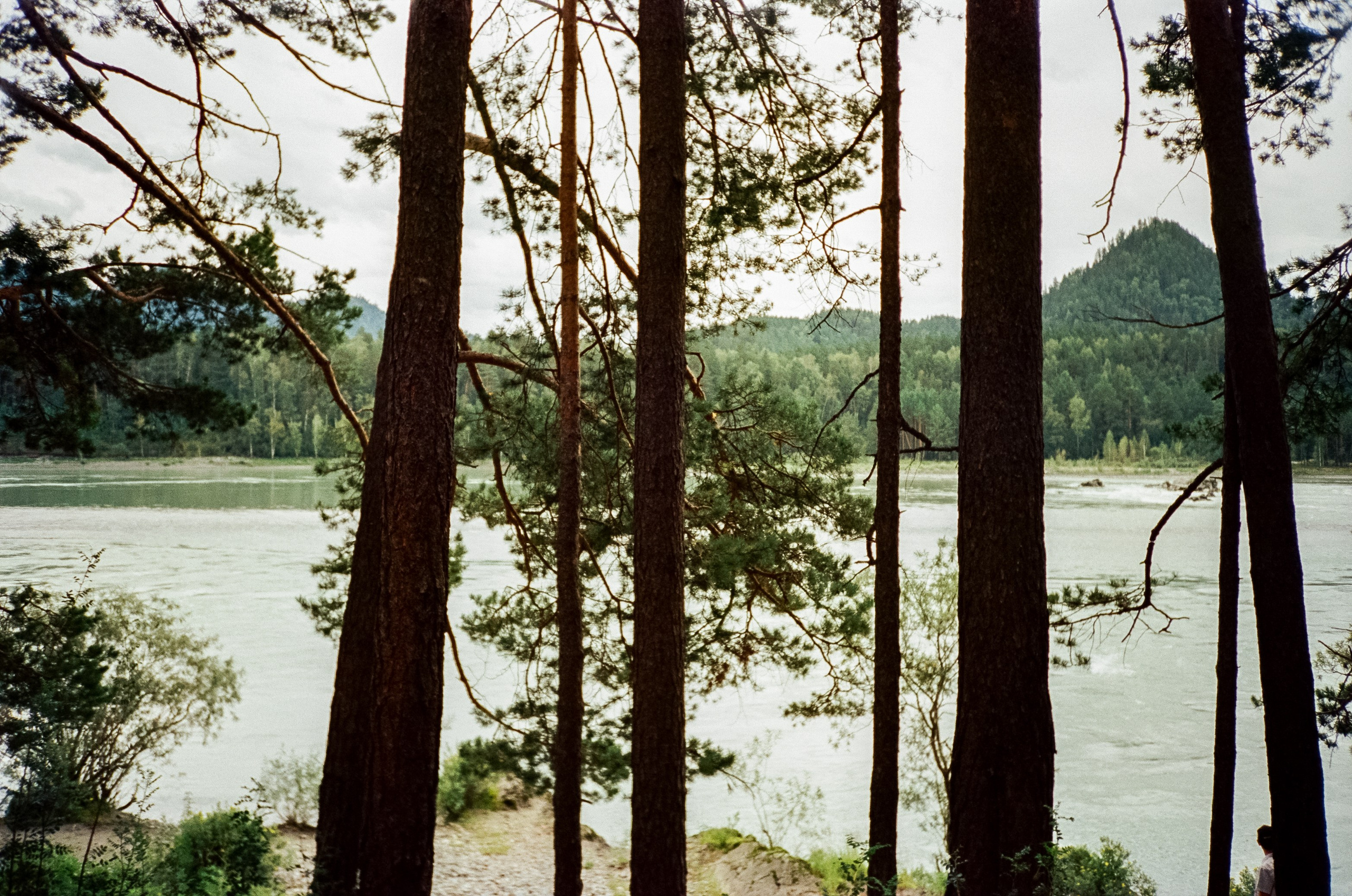 Знакомые места Чемальского тракта. Фотограф-документалист Мария Осокина