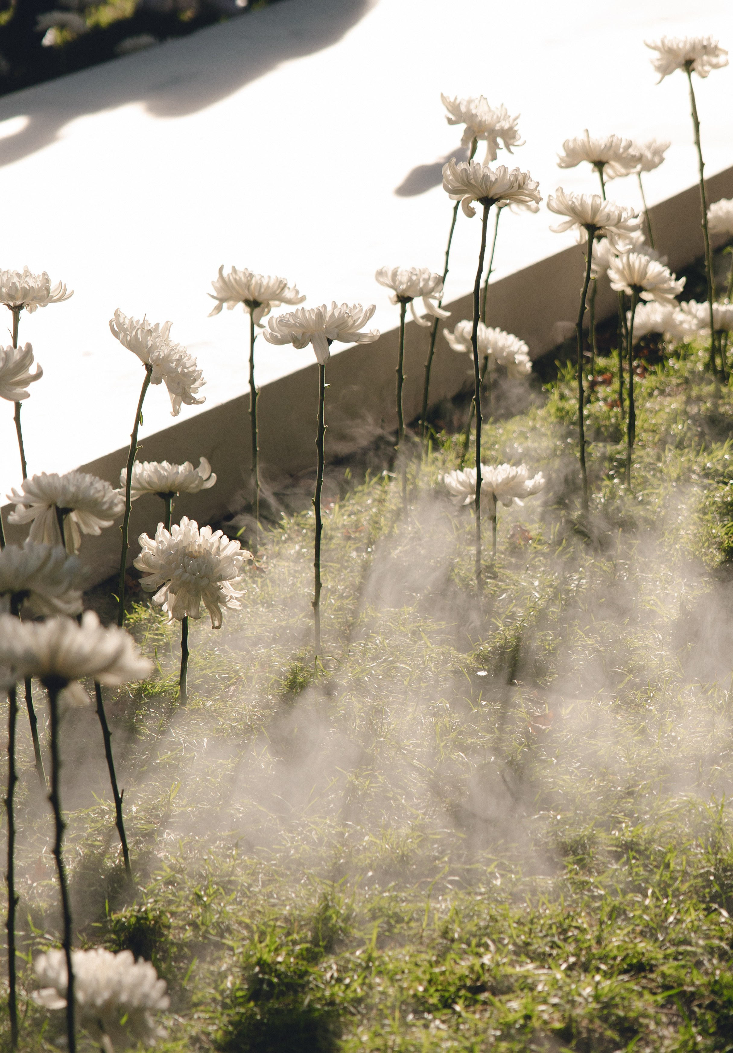 Без тебя душа болела