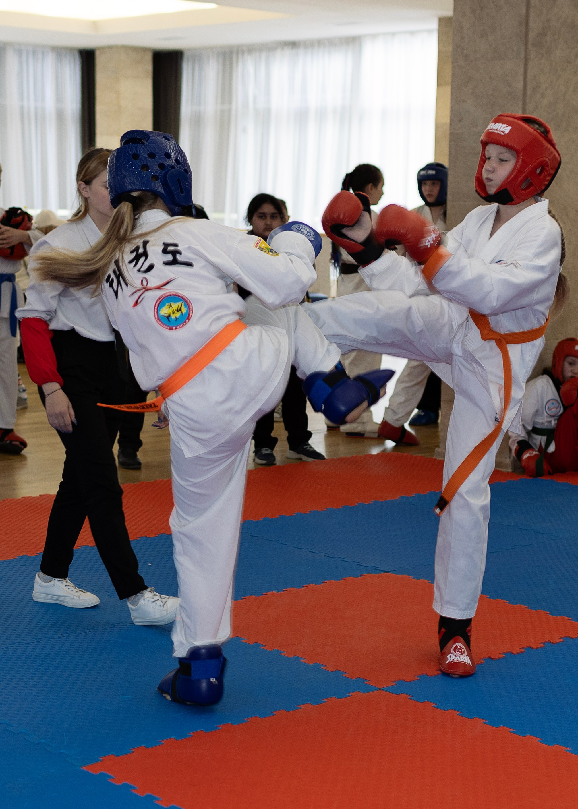 Фото турнира по Тхеквондо, проводимого в г. Железноводске. Медиапродюсер, фотограф в Минеральных Водах —Виктор Холодов