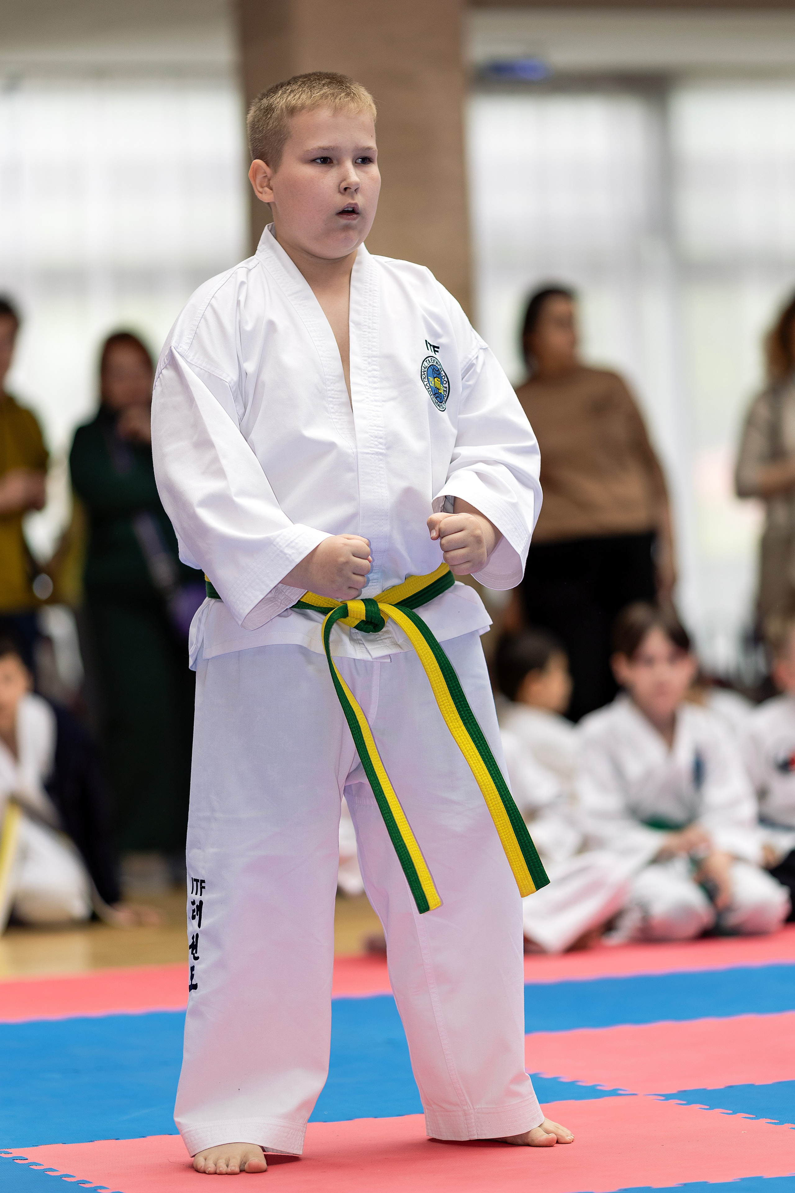 Фото турнира по Тхеквондо, проводимого в г. Железноводске. Медиапродюсер, фотограф в Минеральных Водах —Виктор Холодов