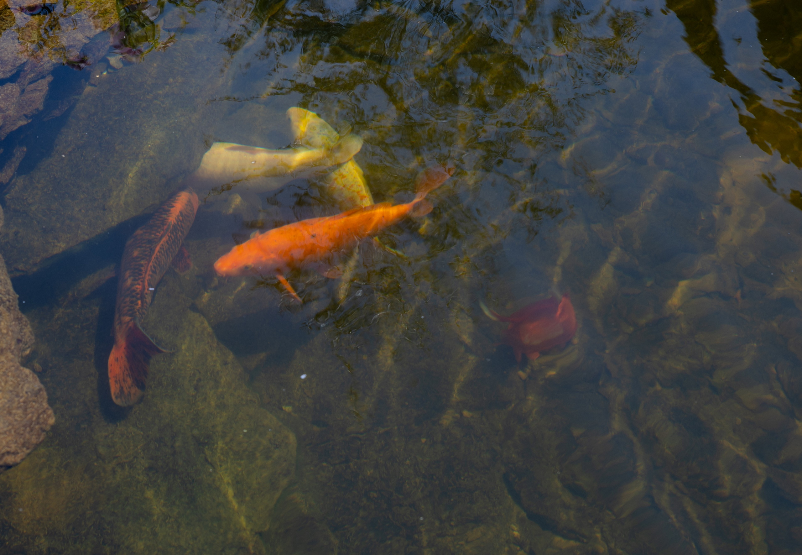 Нетворкинг, г. Кисловодск. Медиапродюсер, фотограф в Минеральных Водах —Виктор Холодов