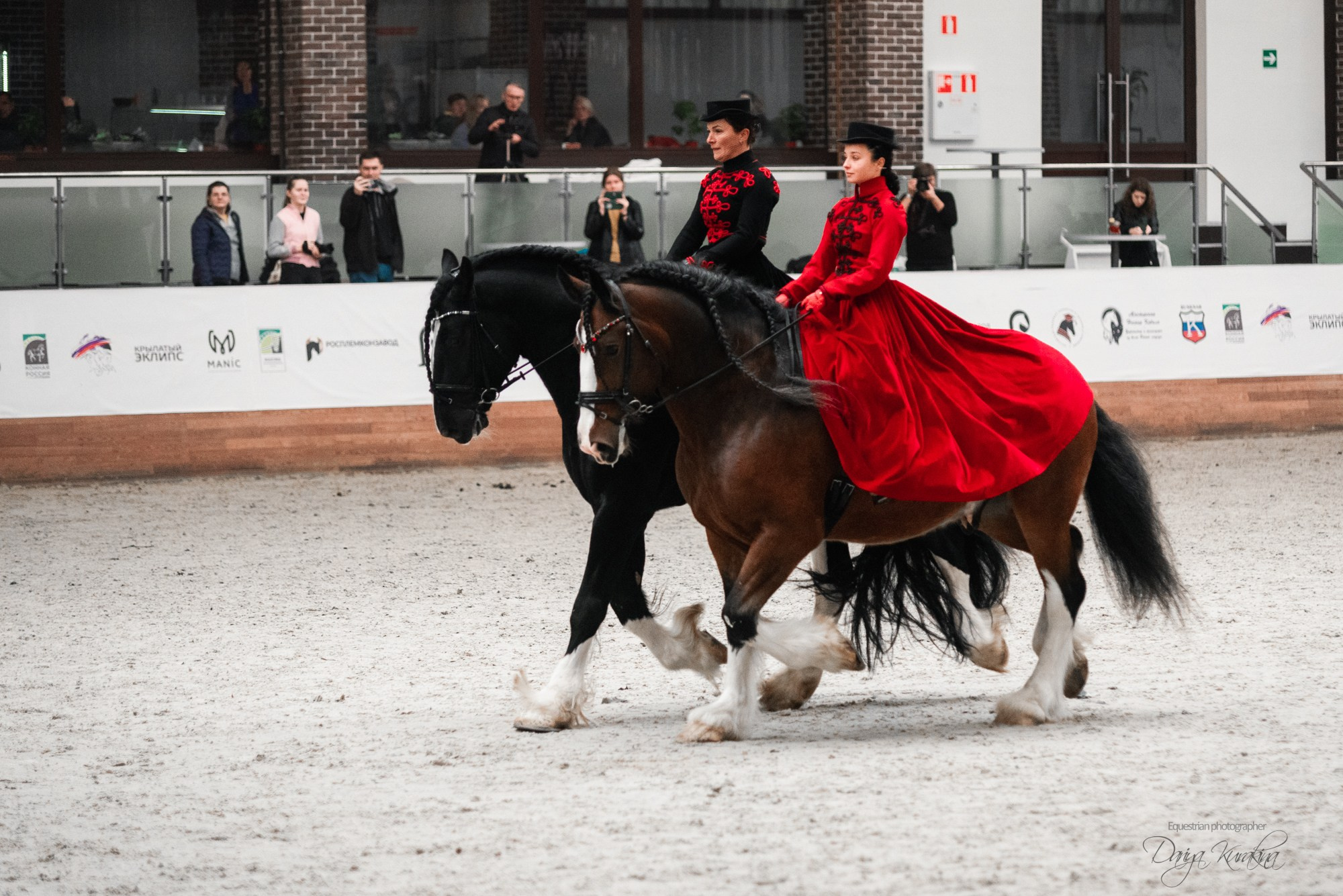 8-я международная выставка Конная Россия. Конный фотограф Куракина Дарья • Фотосессии с лошадьми
