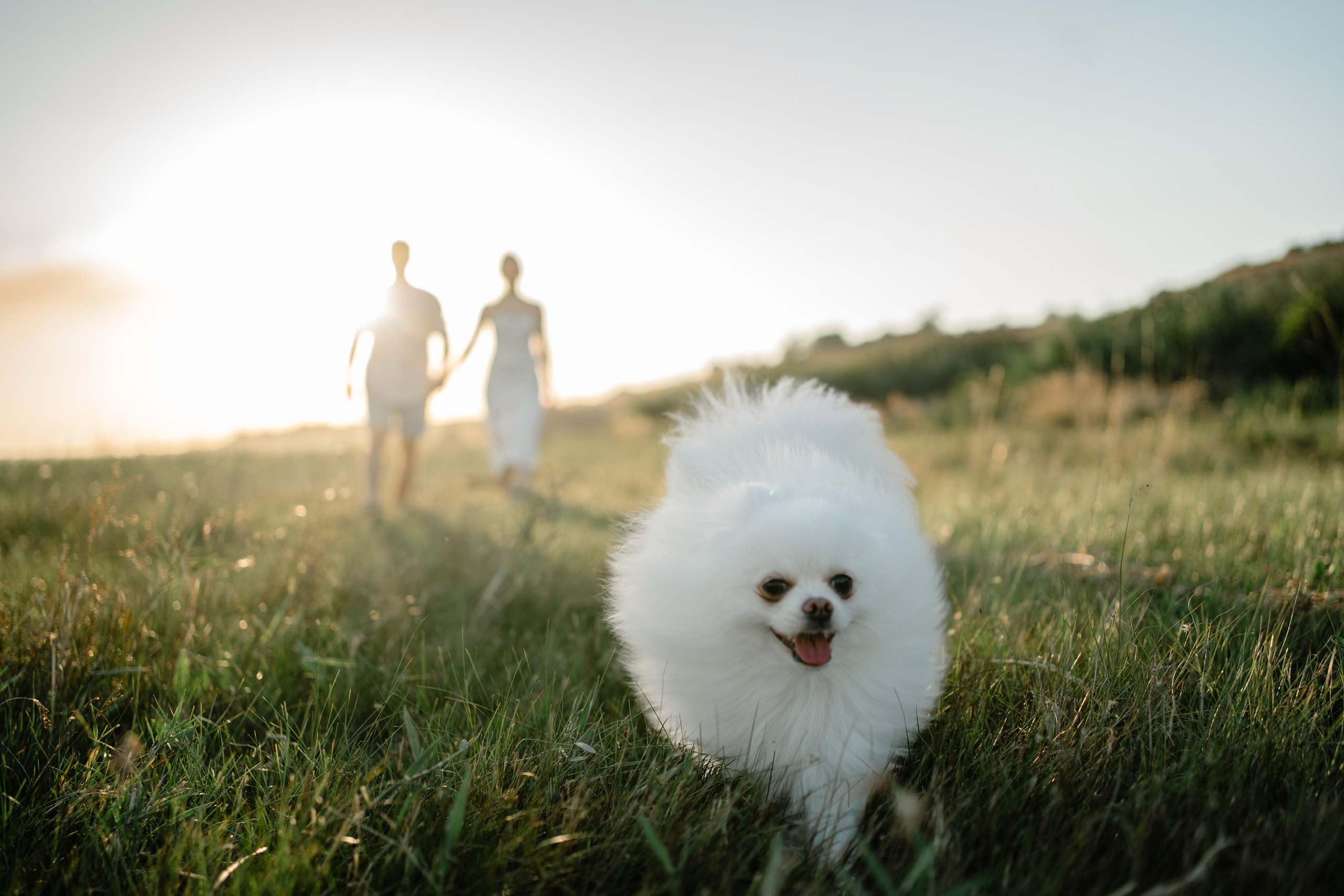 Марина и Дима. Семейный lifestyle фотограф в Ростове-на-Дону