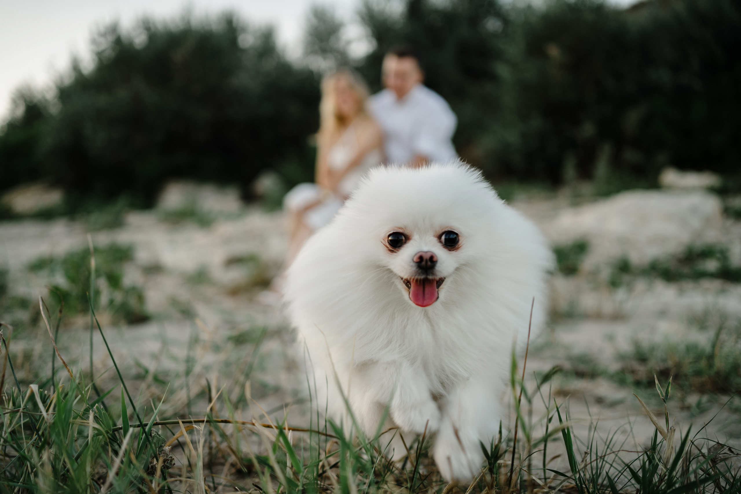 Марина и Дима. Семейный lifestyle фотограф в Ростове-на-Дону