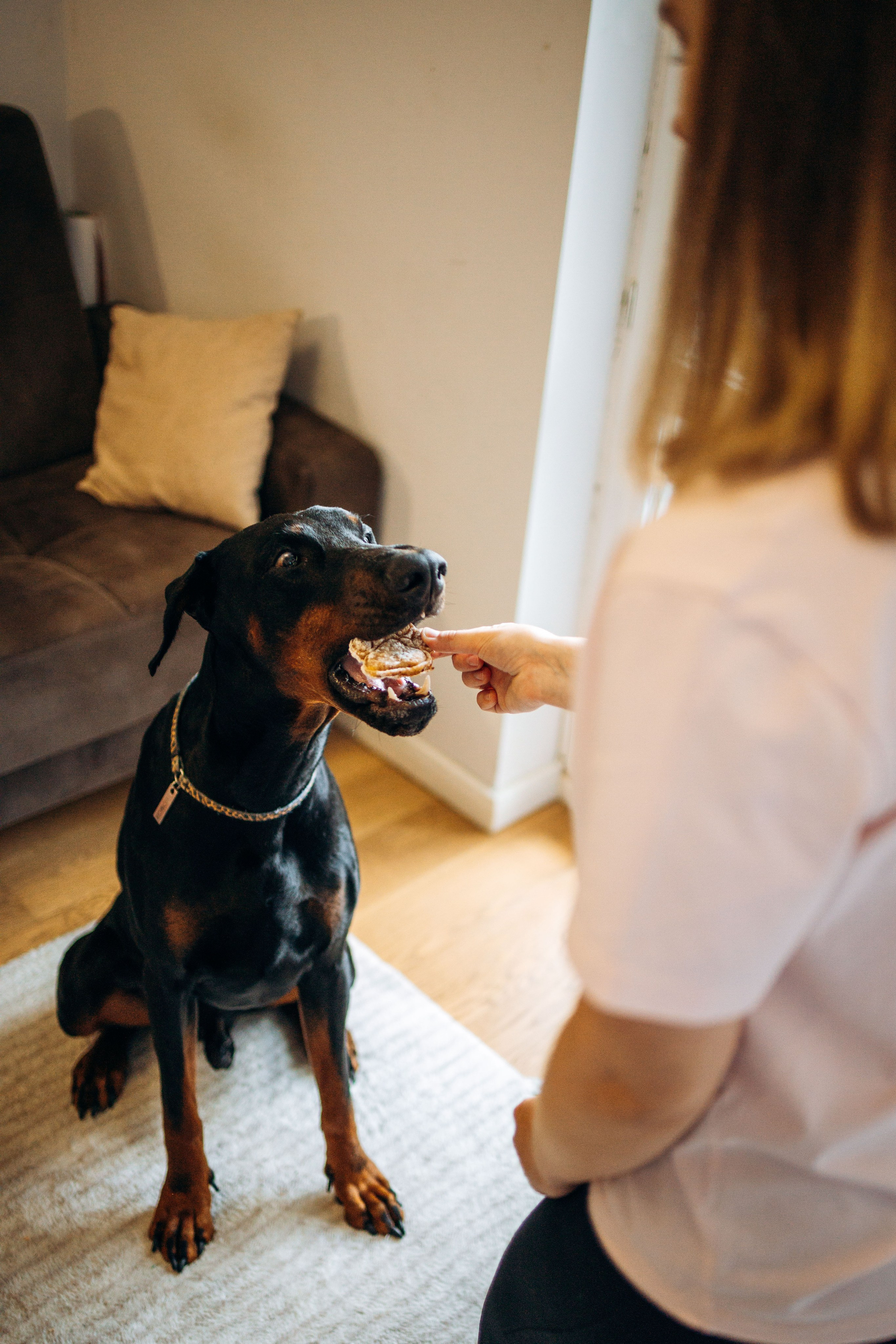 Катя и Конор