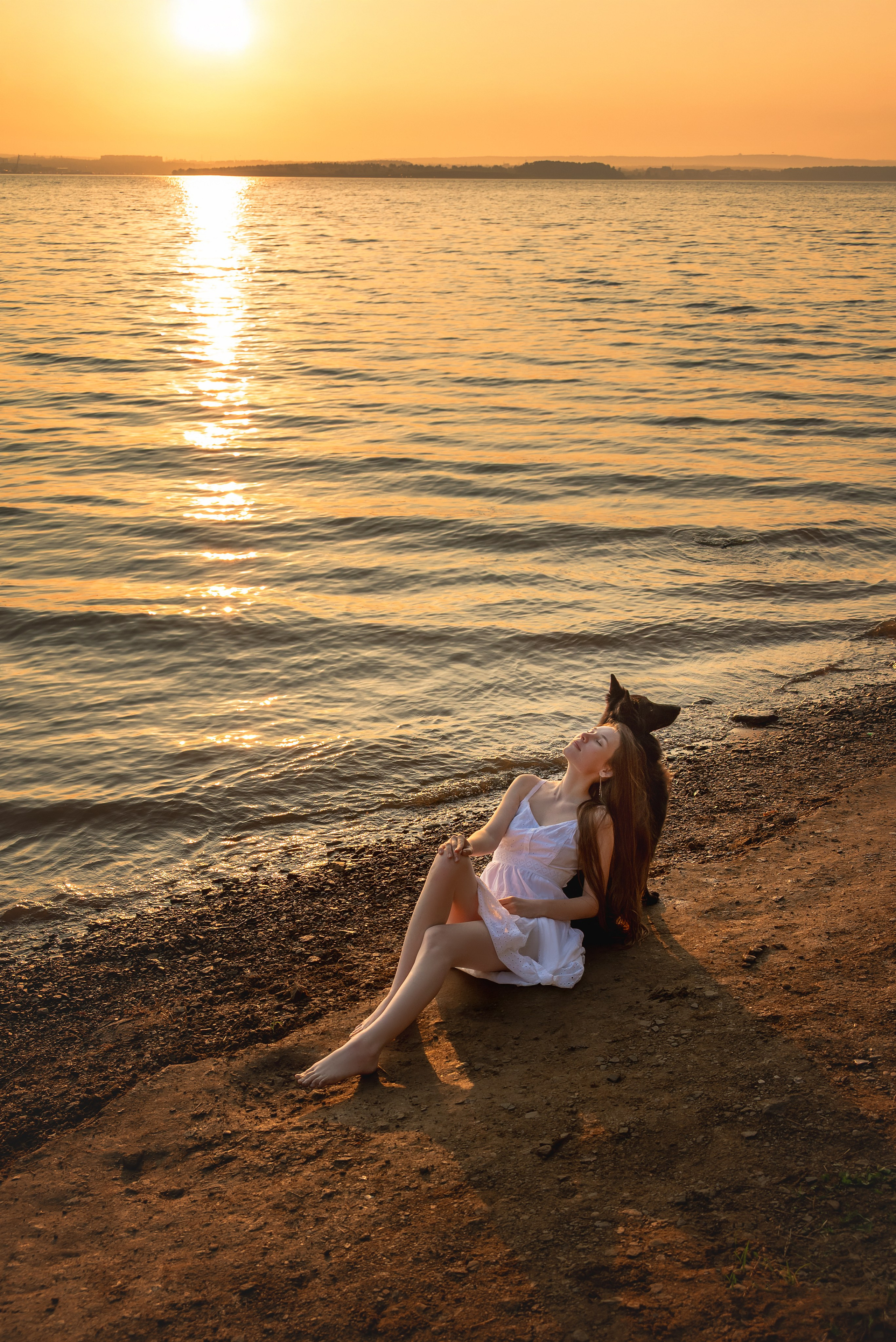 Съемка с собаками, животными. Сайт фотографа Елены Коноваловой Иркутск