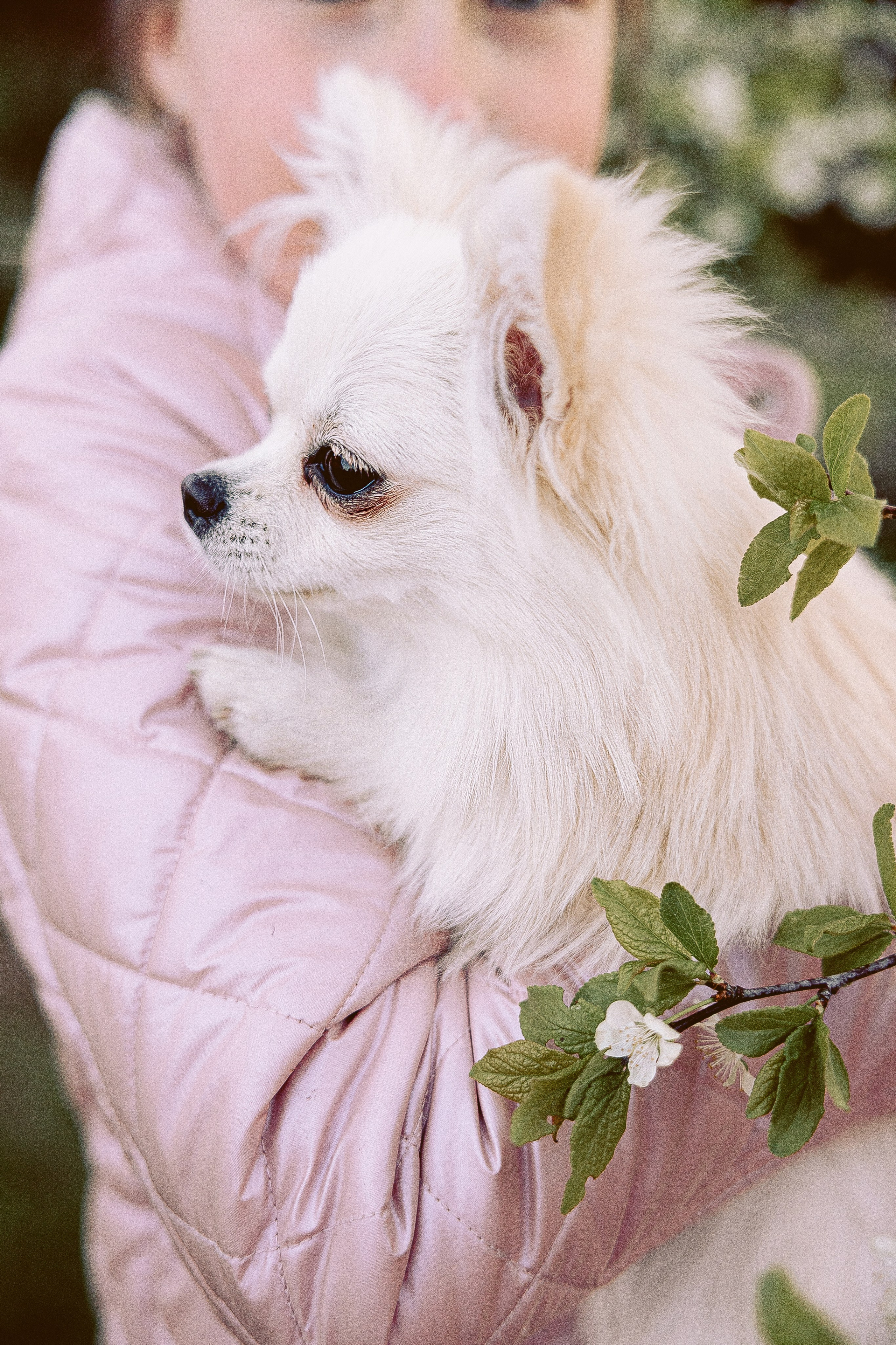 Фотосессия питомцев. Фотограф в Казани Ольга Яшина