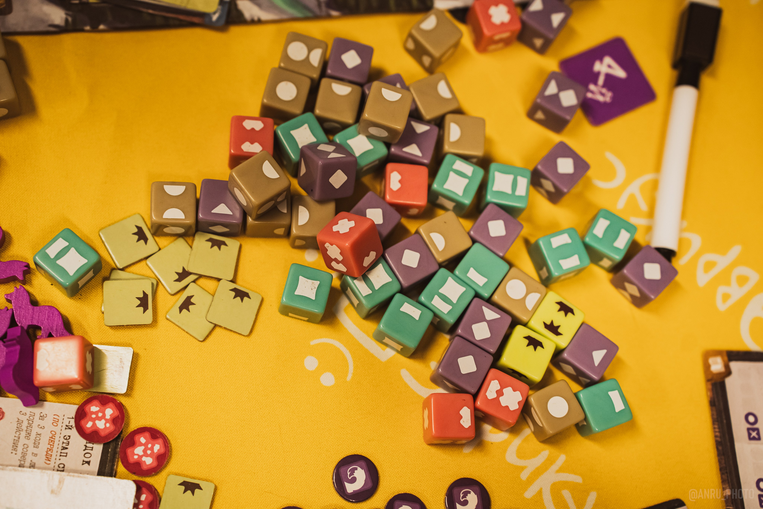 Fox Family fest. Репортажный фотограф Анастасия Рубцова