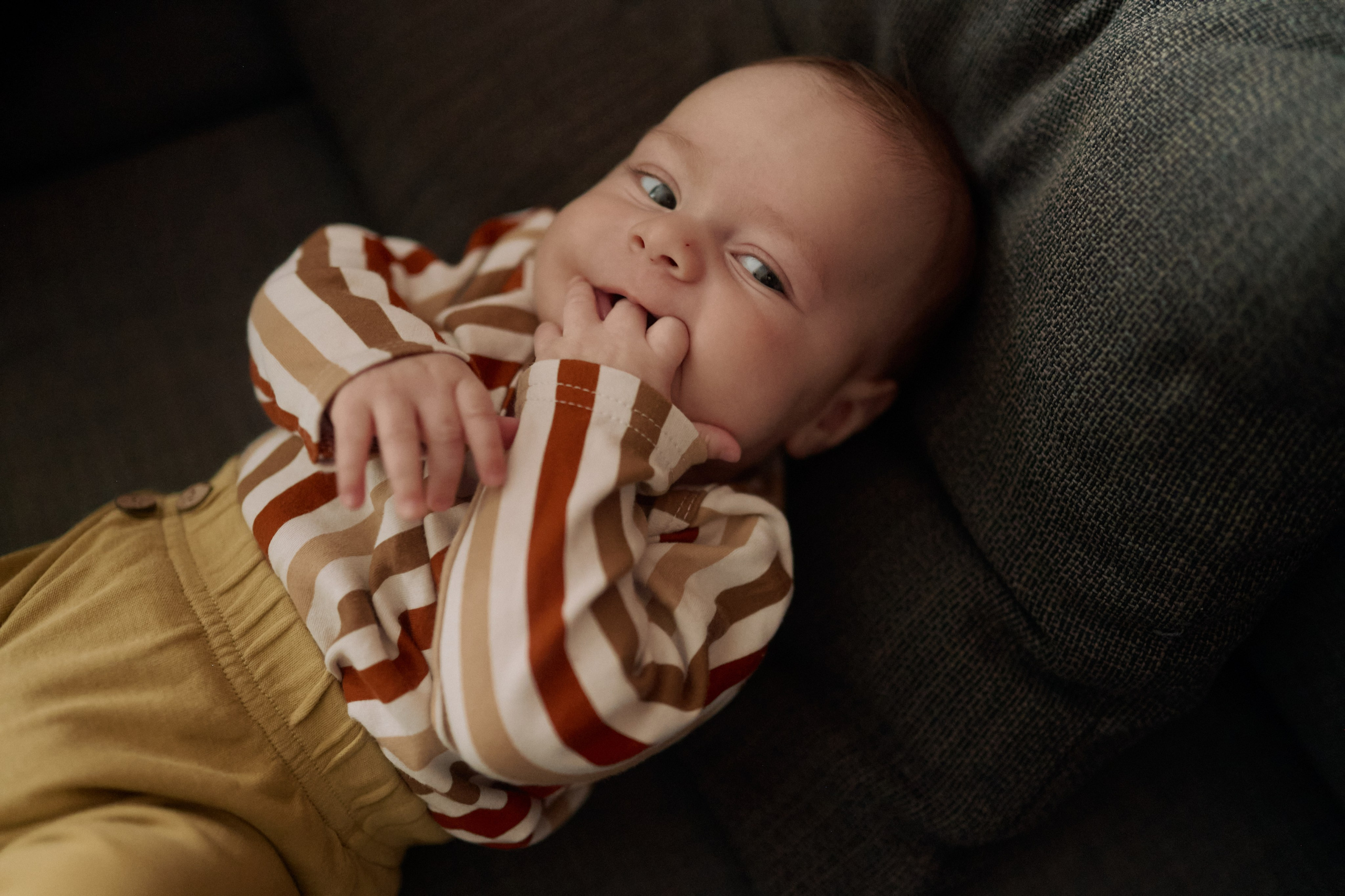 Эмир, Диана, Леон и Амин дома. Семейный и свадебный lifestyle-фотограф в Москве Мария Петрова