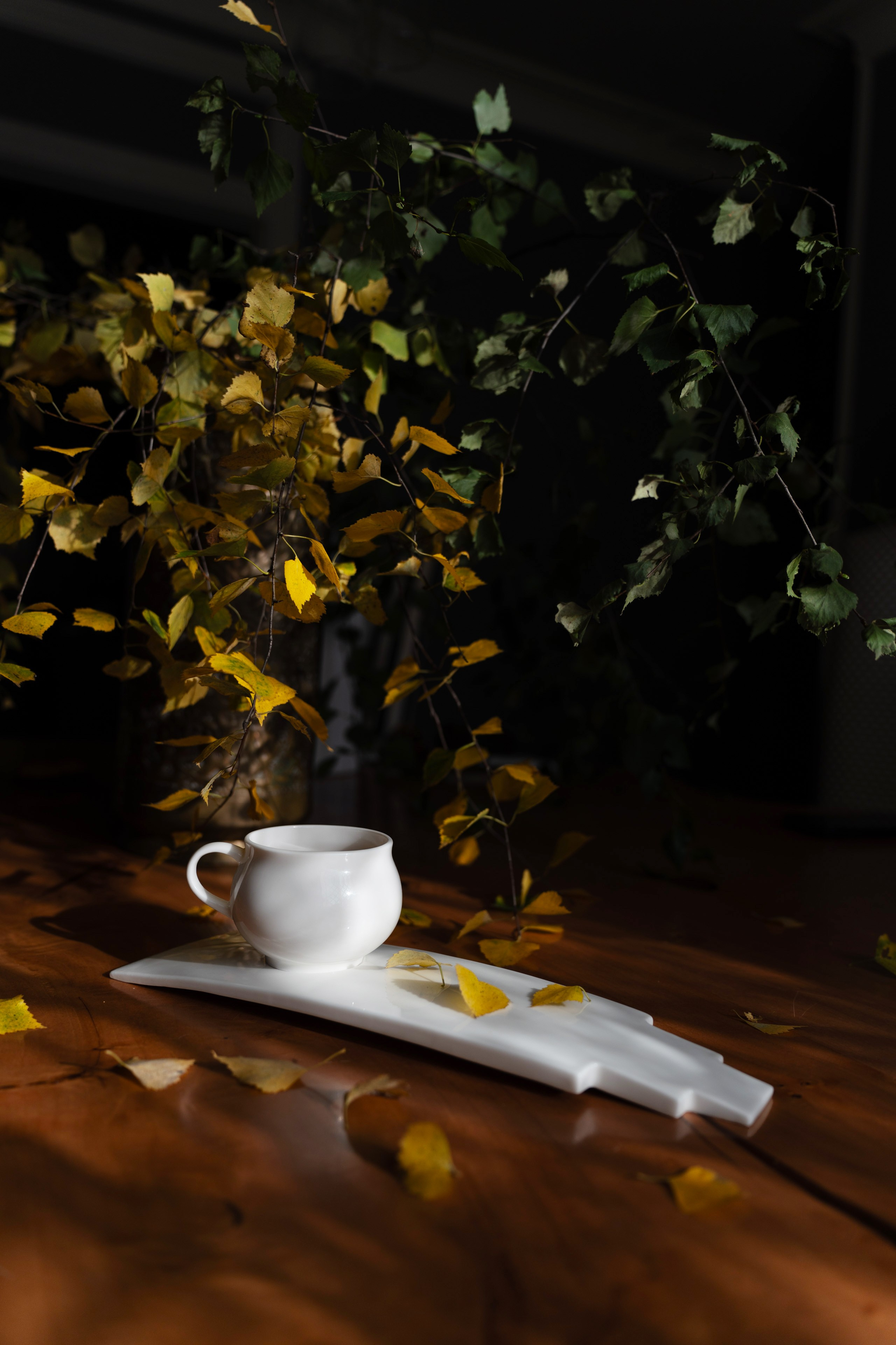 Фарфоровая посуда: Чайная пара «Лемех». Съемки для бизнеса в Москве