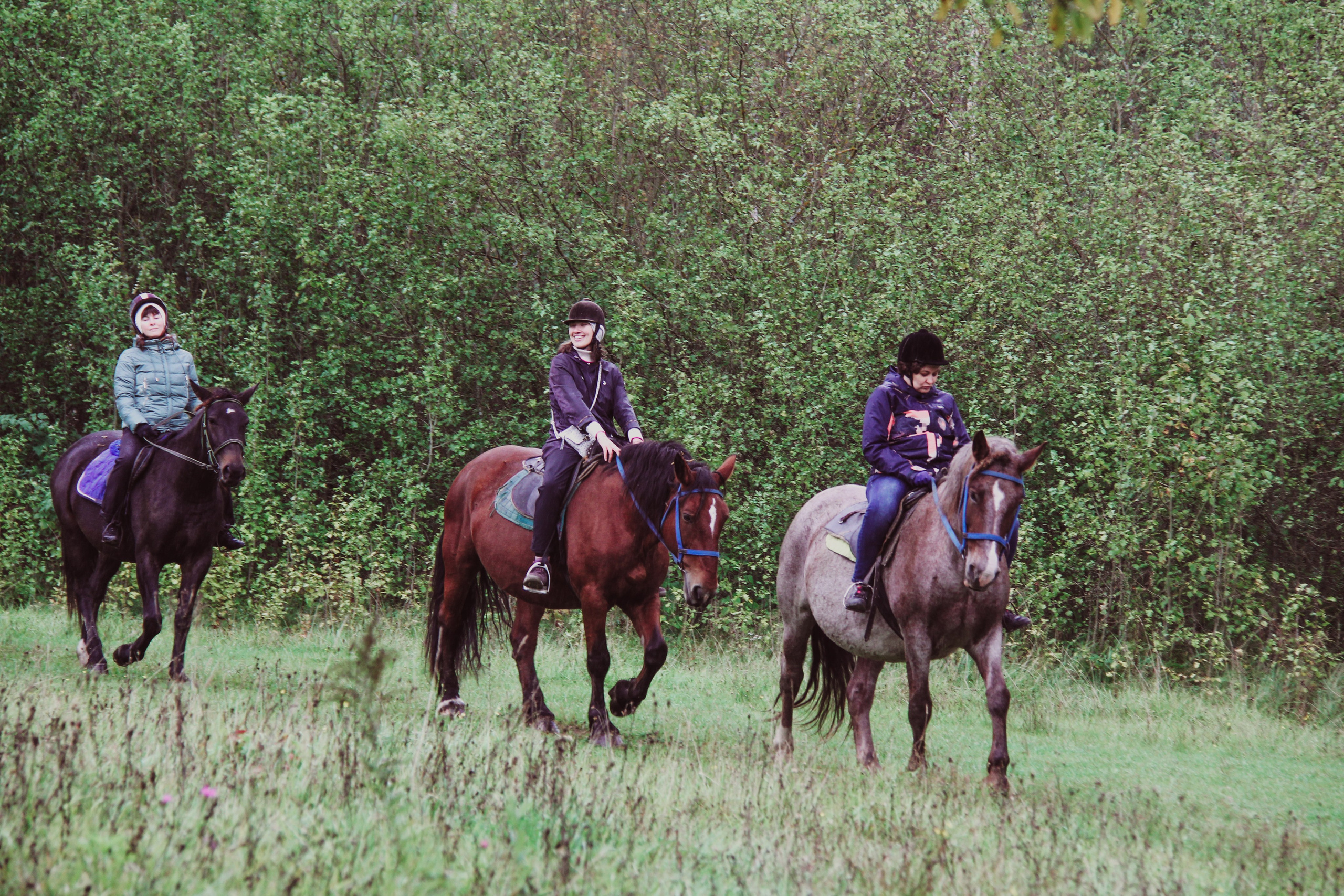 Лошадинг | 27.09.2025. Галерея Фантим
