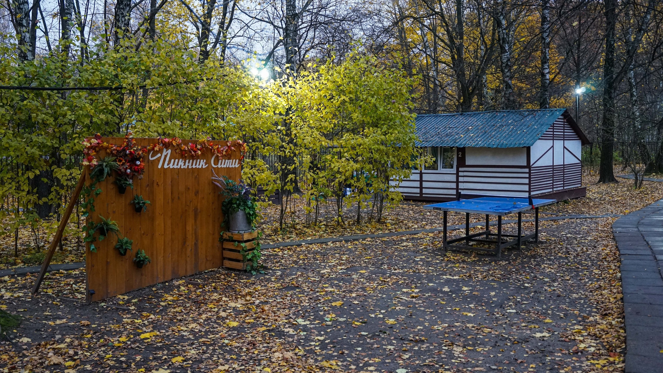 Шашлыки | 26.10.24. Галерея Фантим