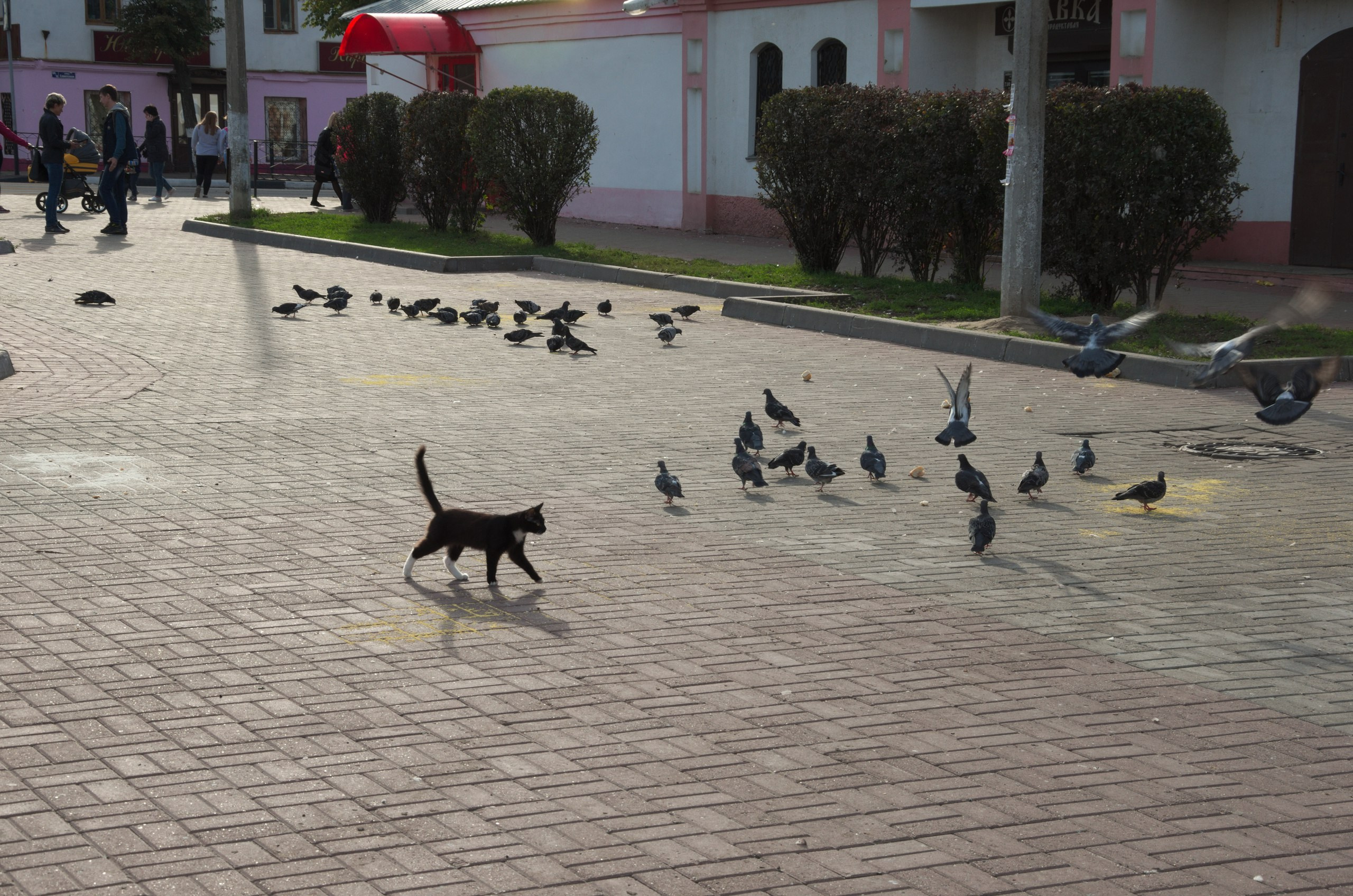 Егорьевск | 10.09.2016. Галерея Фантим