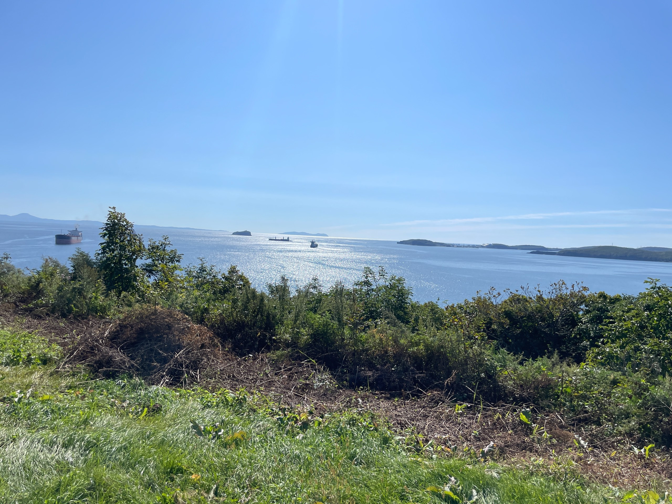 Владивосток 1 | 18-21.09.2025. Галерея Фантим