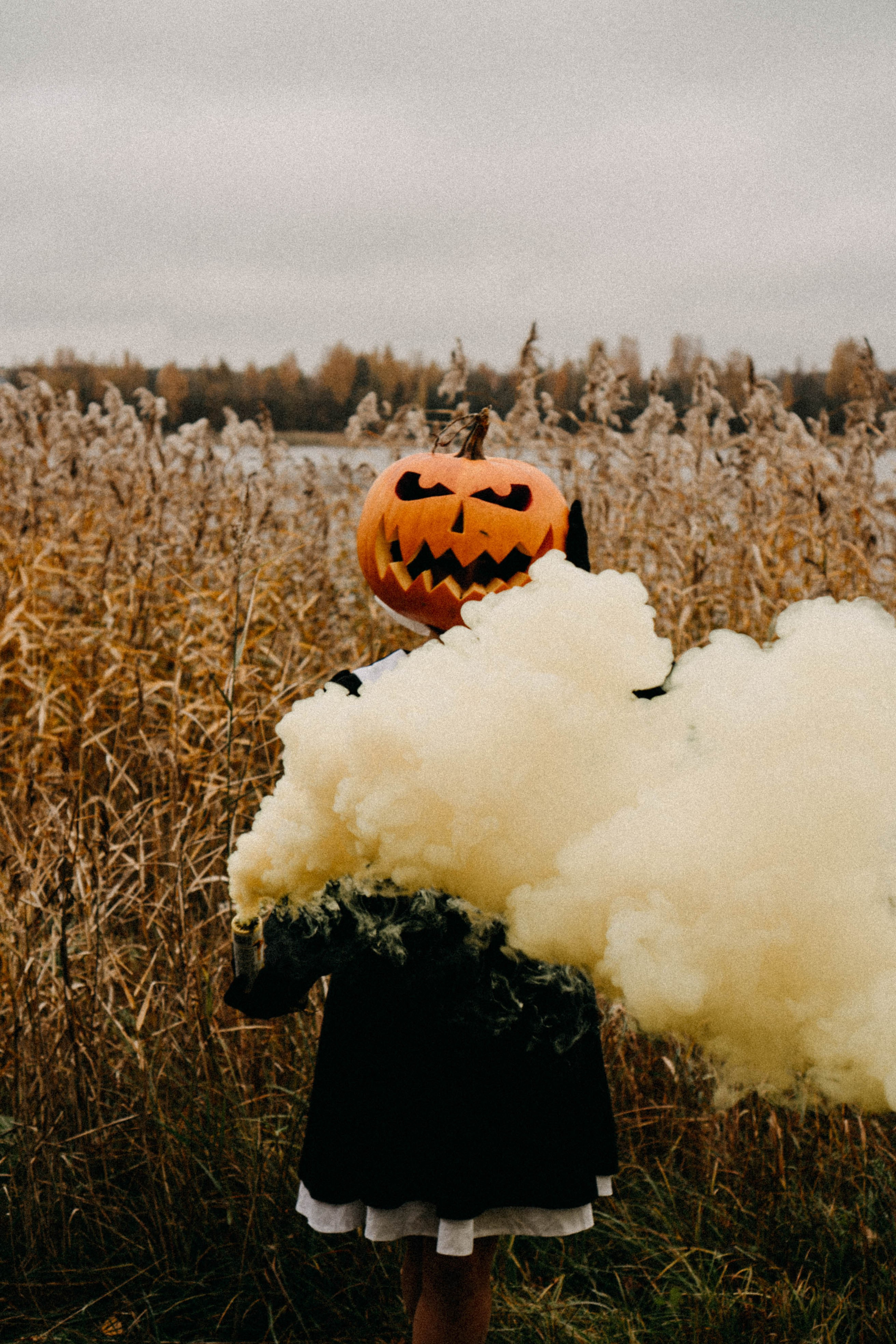 Осеняя. Профессиональный фотограф, Санкт-Петербург — Виктория Богомолова
