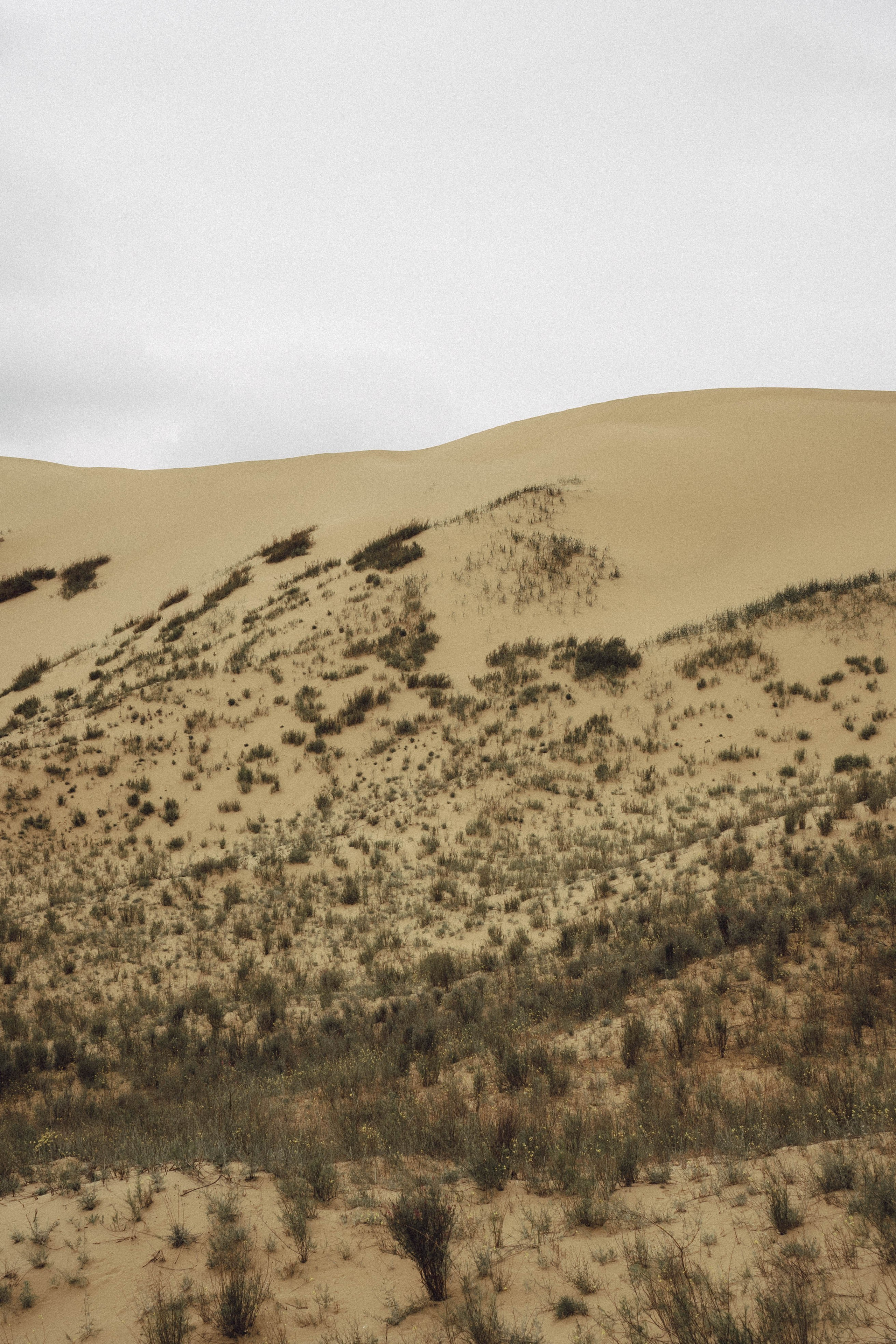 Кавказ. Профессиональный фотограф, Санкт-Петербург — Виктория Богомолова