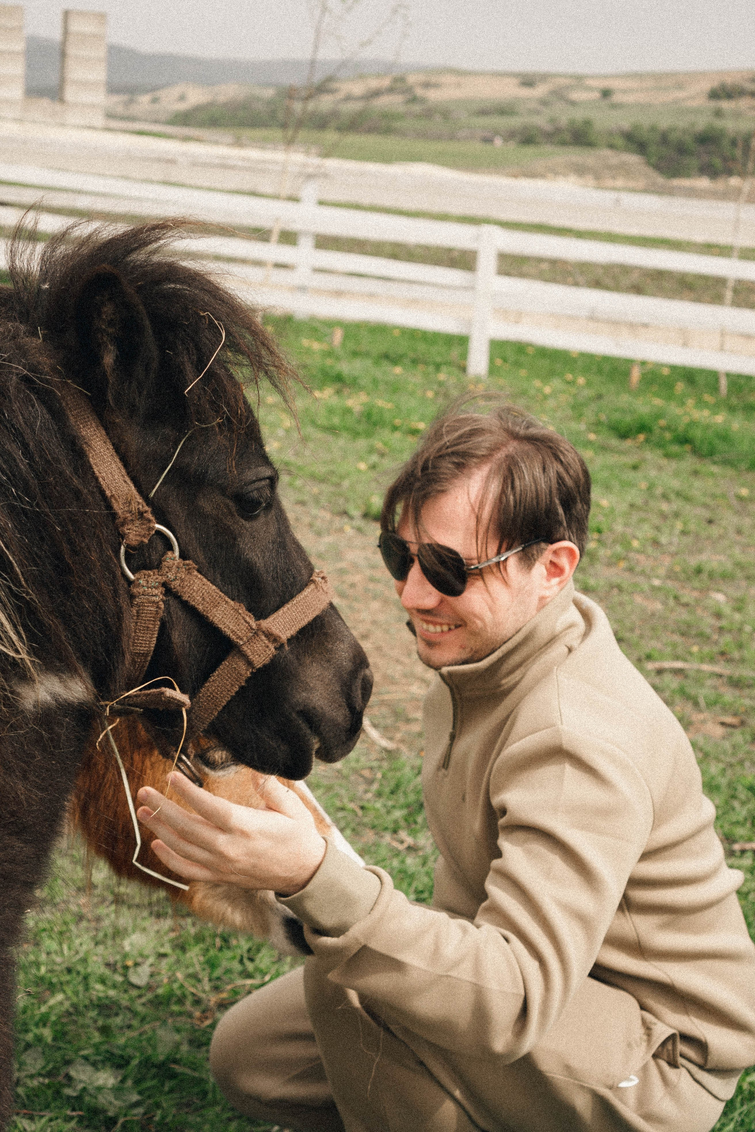 Ферма Альпак. Профессиональный фотограф, Санкт-Петербург — Виктория Богомолова