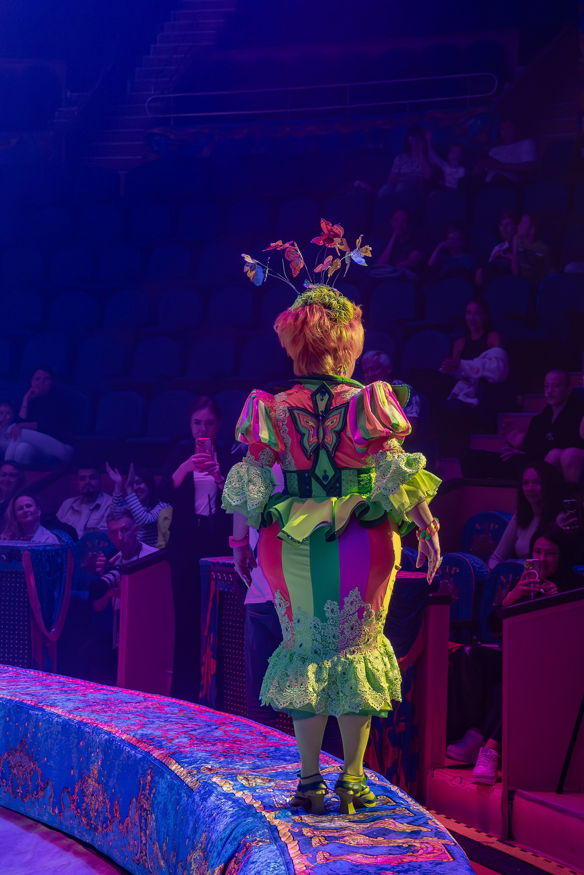 Цирк Гии Эрадзе. Наталья Слесаренко фотограф в Сочи