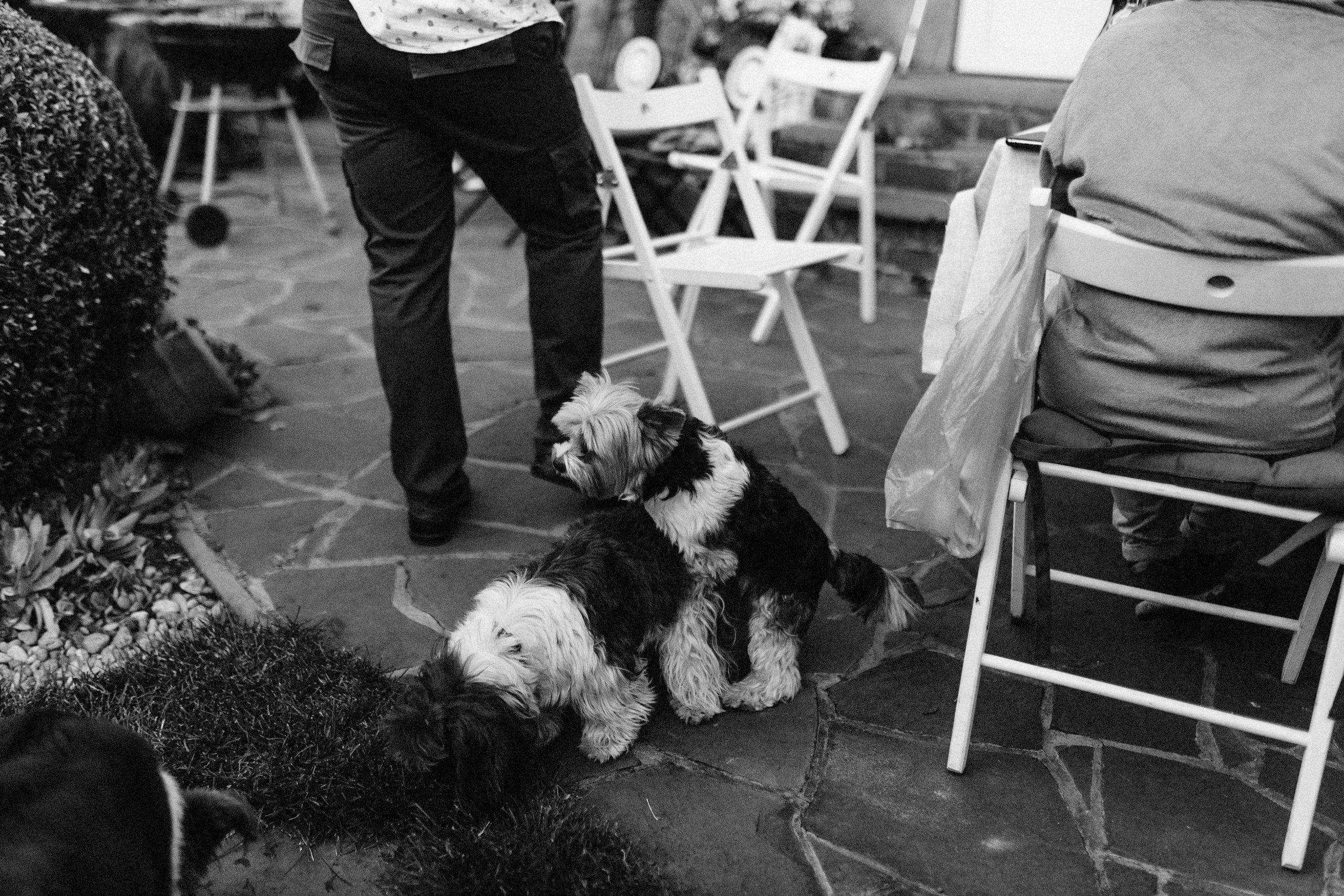 Алиса и Андрей. Катя Завьялова