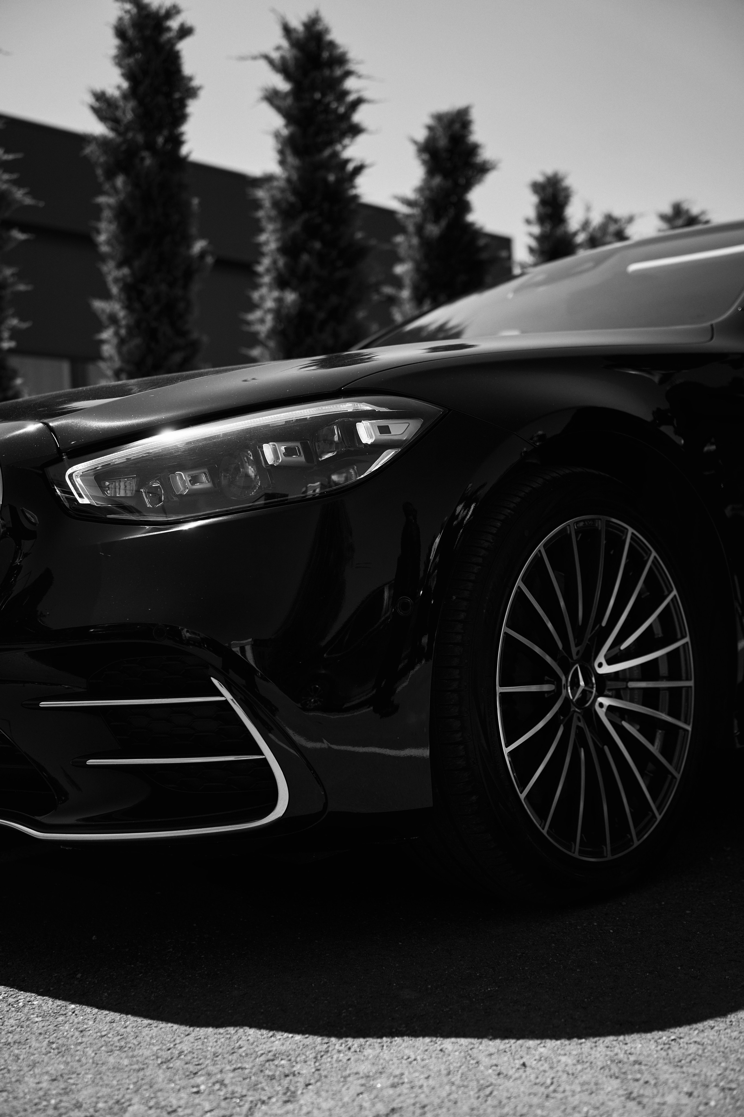 Лучшие свадебные фотографы Краснодара ТВИНС СТУДИО в Zagarro на Армянской свадьбе!. ТВИНС СТУДИО — лучшие свадебные фотографы и видеографы в Краснодаре