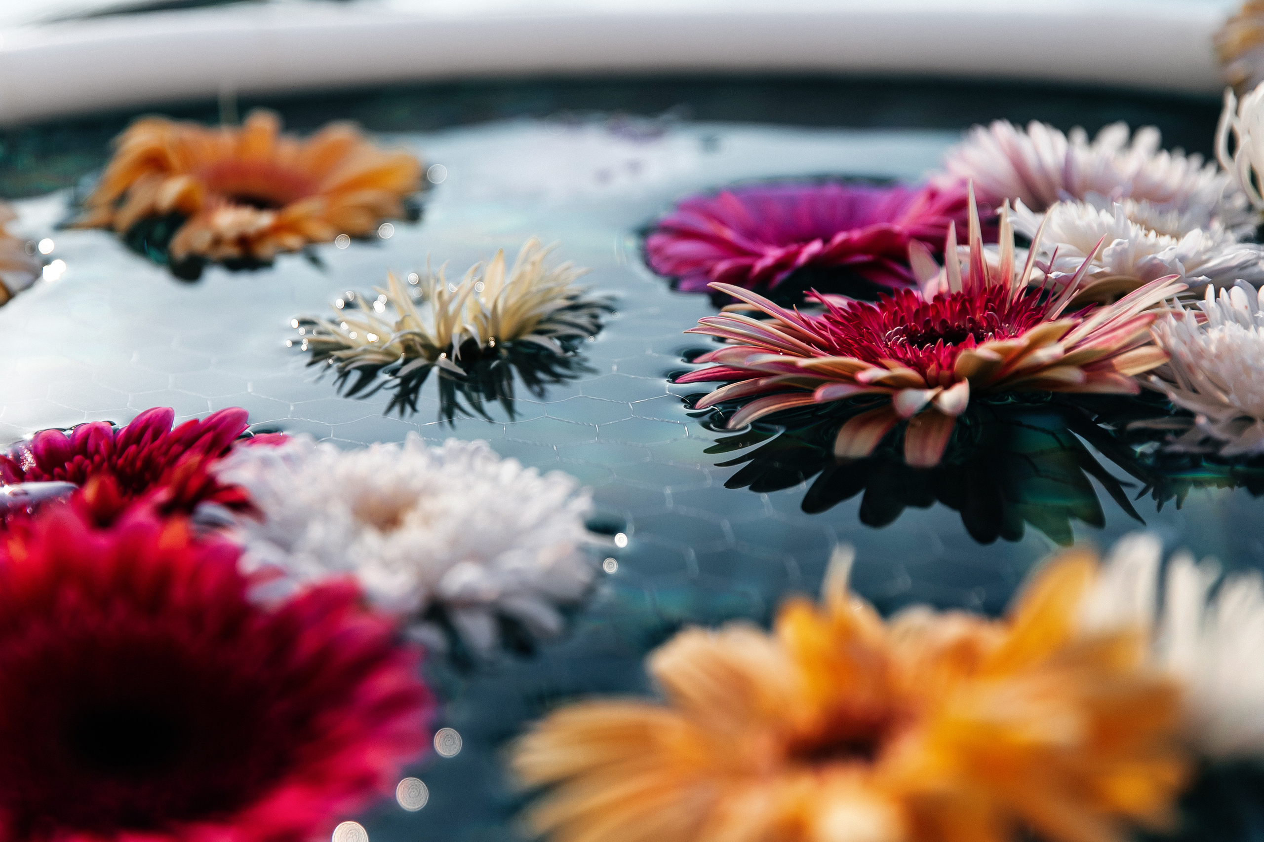 Лиза и Олег. Свадебный фотограф и видеограф Когай Дмитрий и Юлия