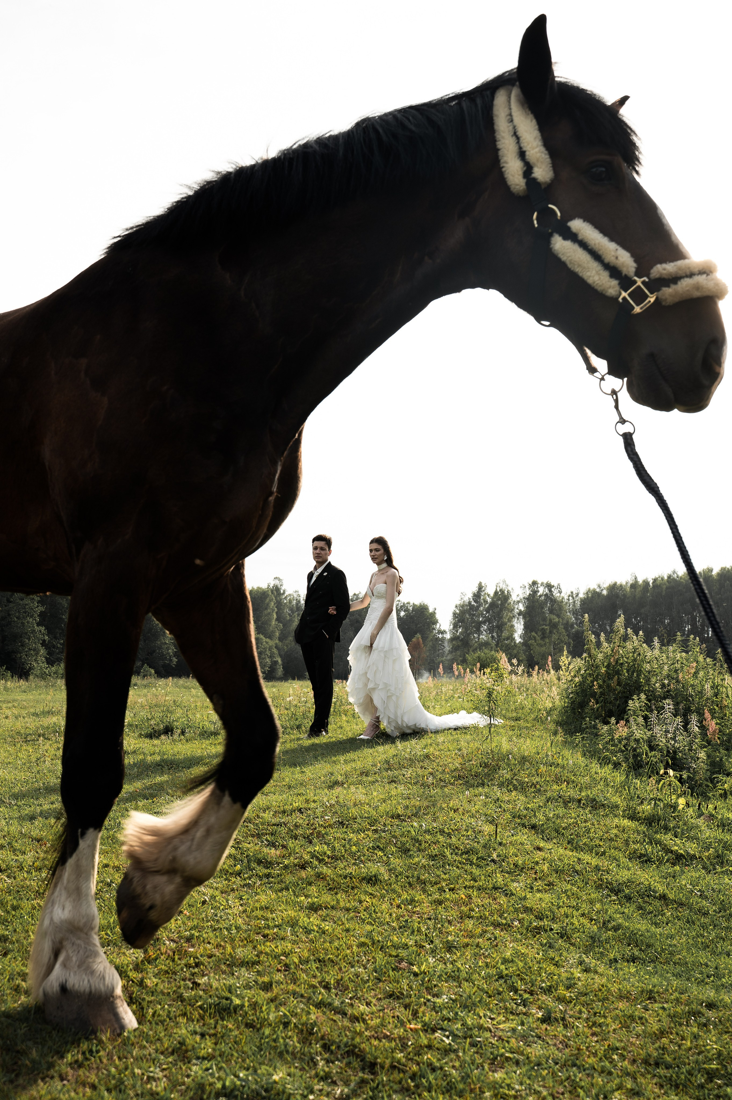 Wedding. Журавлёва Елена