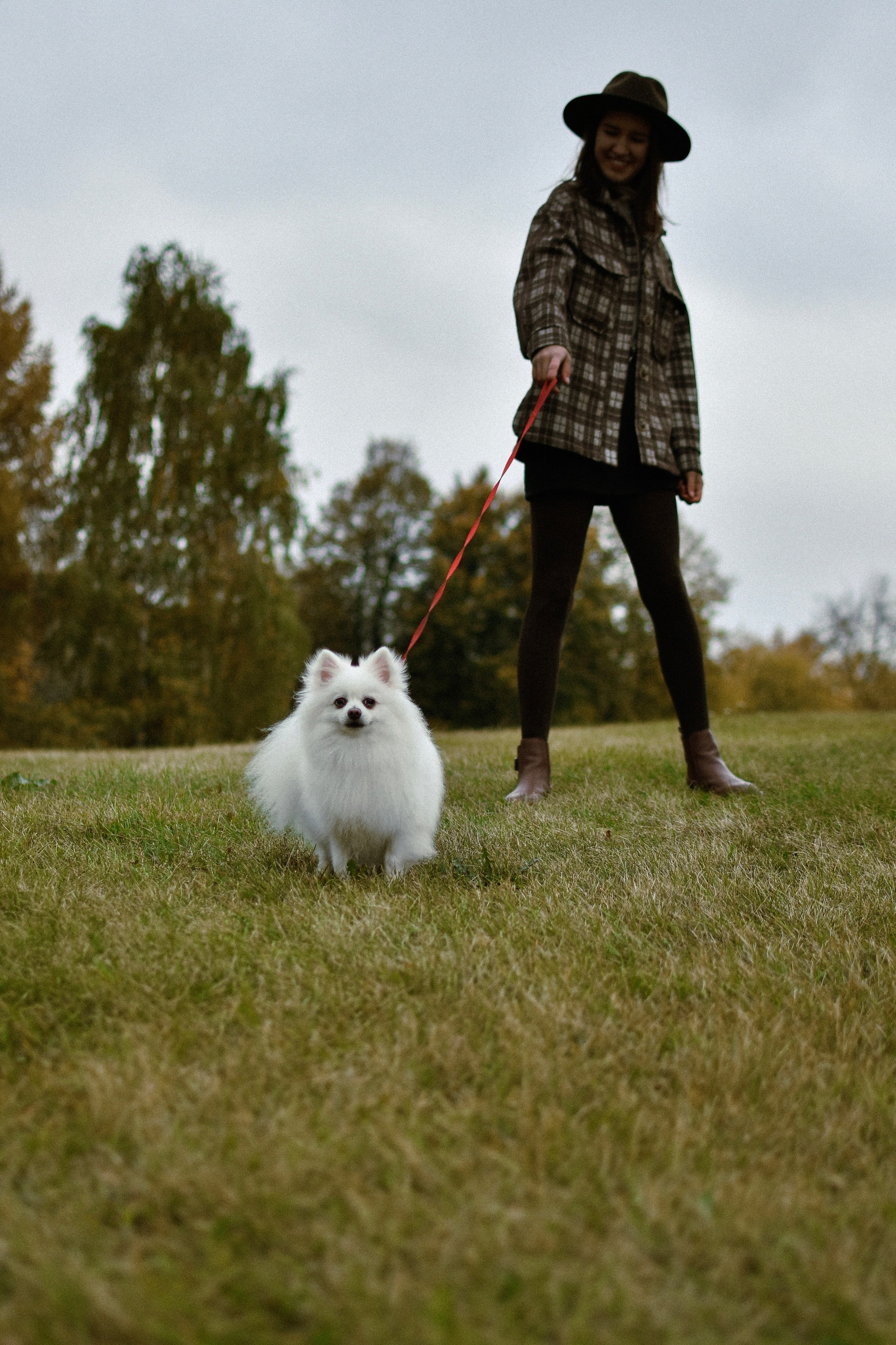 Анабель и Саша. Фотограф-анималист Ксения Шевцова|Москва