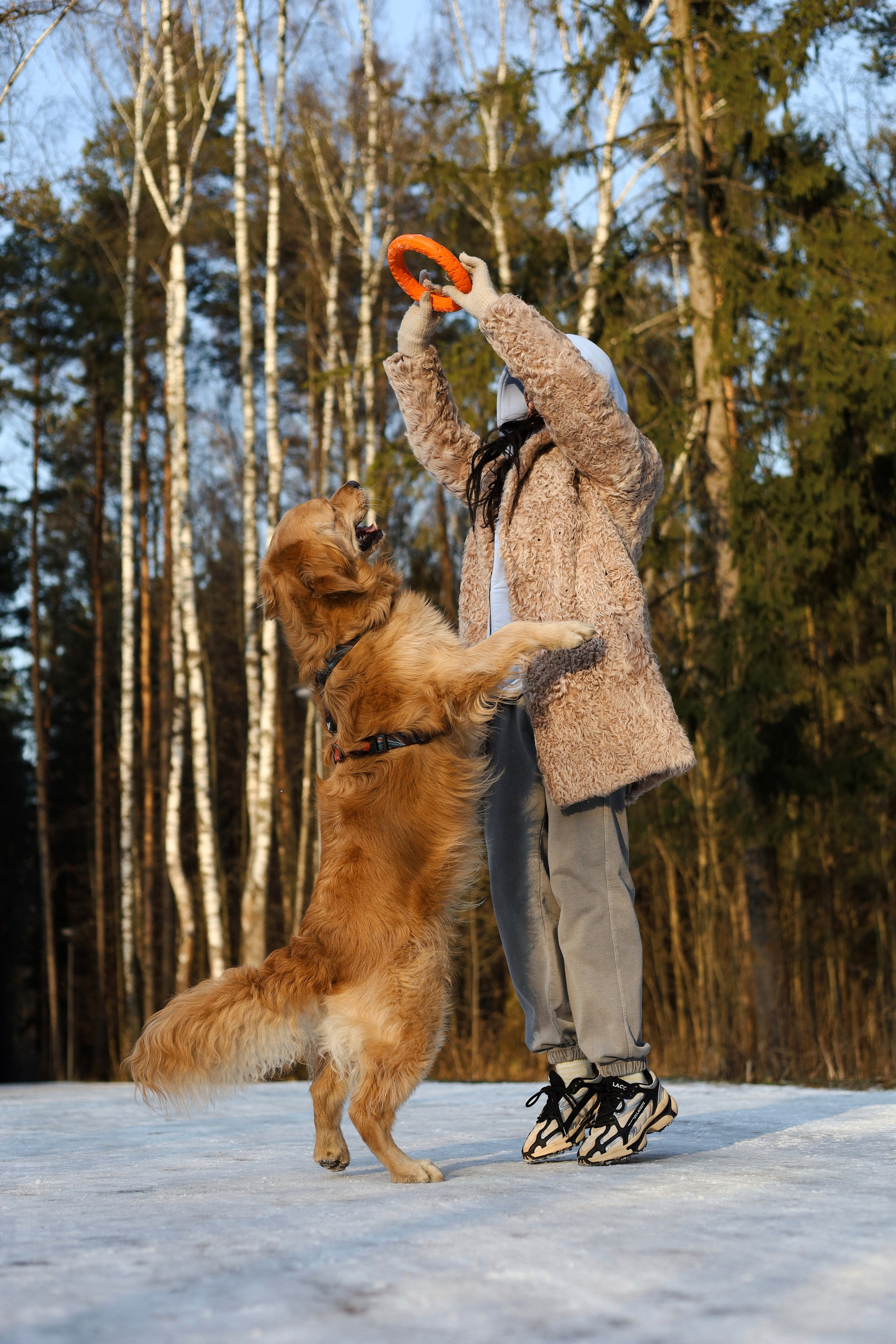 Лёва и Катя. Фотограф-анималист Ксения Шевцова|Москва