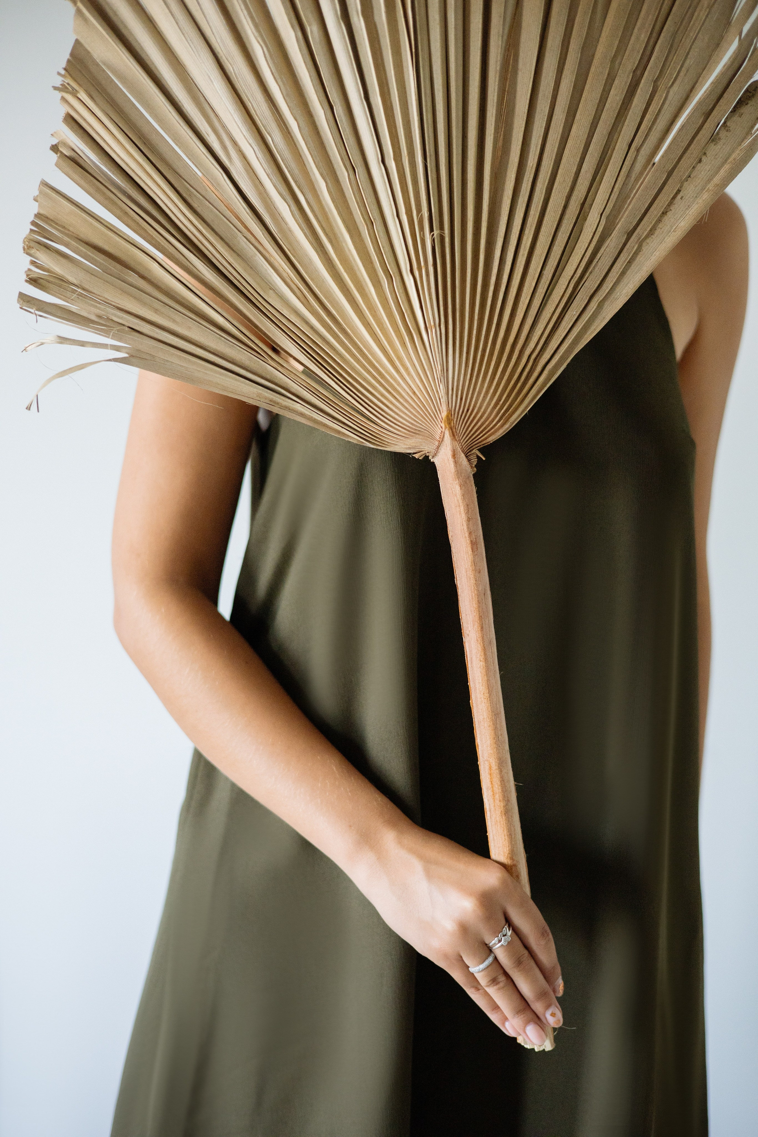 С чего начать знакомство с трансфер фактором