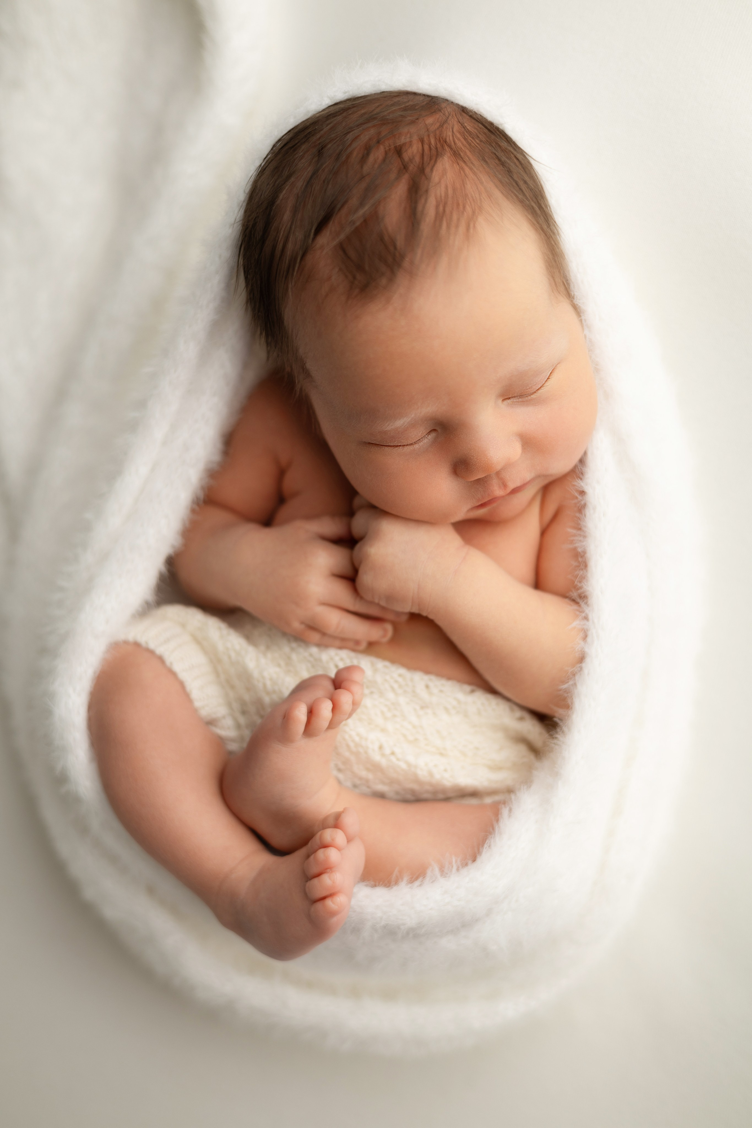 Лев. Лилия Алтухова — фотограф новорожденных в Москве и области