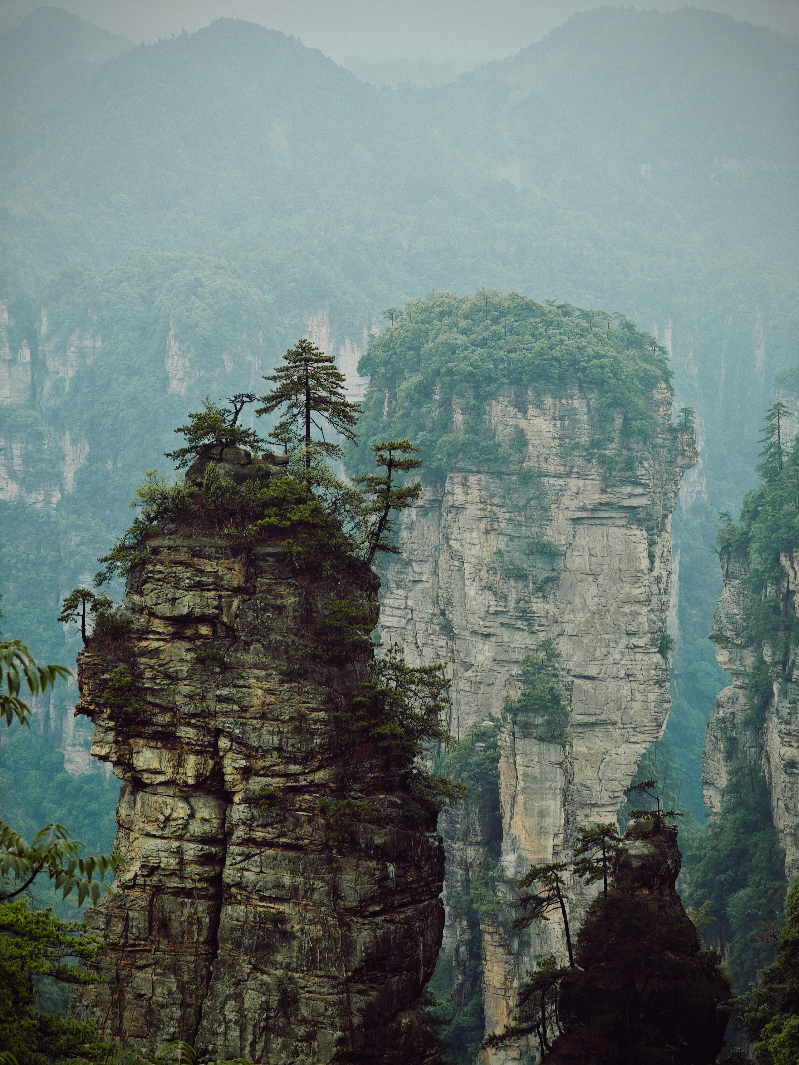 The Great Journey to China. Brjankin.com