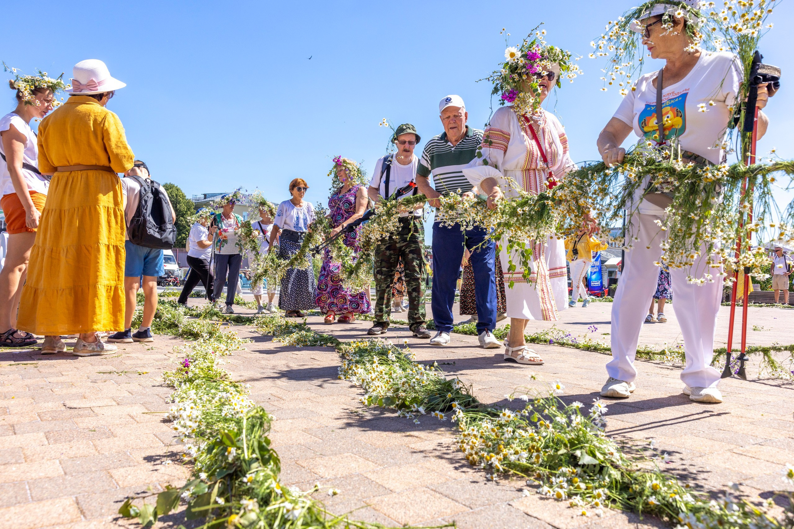 Фестиваль «Ромашковый хоровод». Северная ходьба. Фотограф в Туле Крупский АнДРей. Фотостудия «КАДР71» в Туле