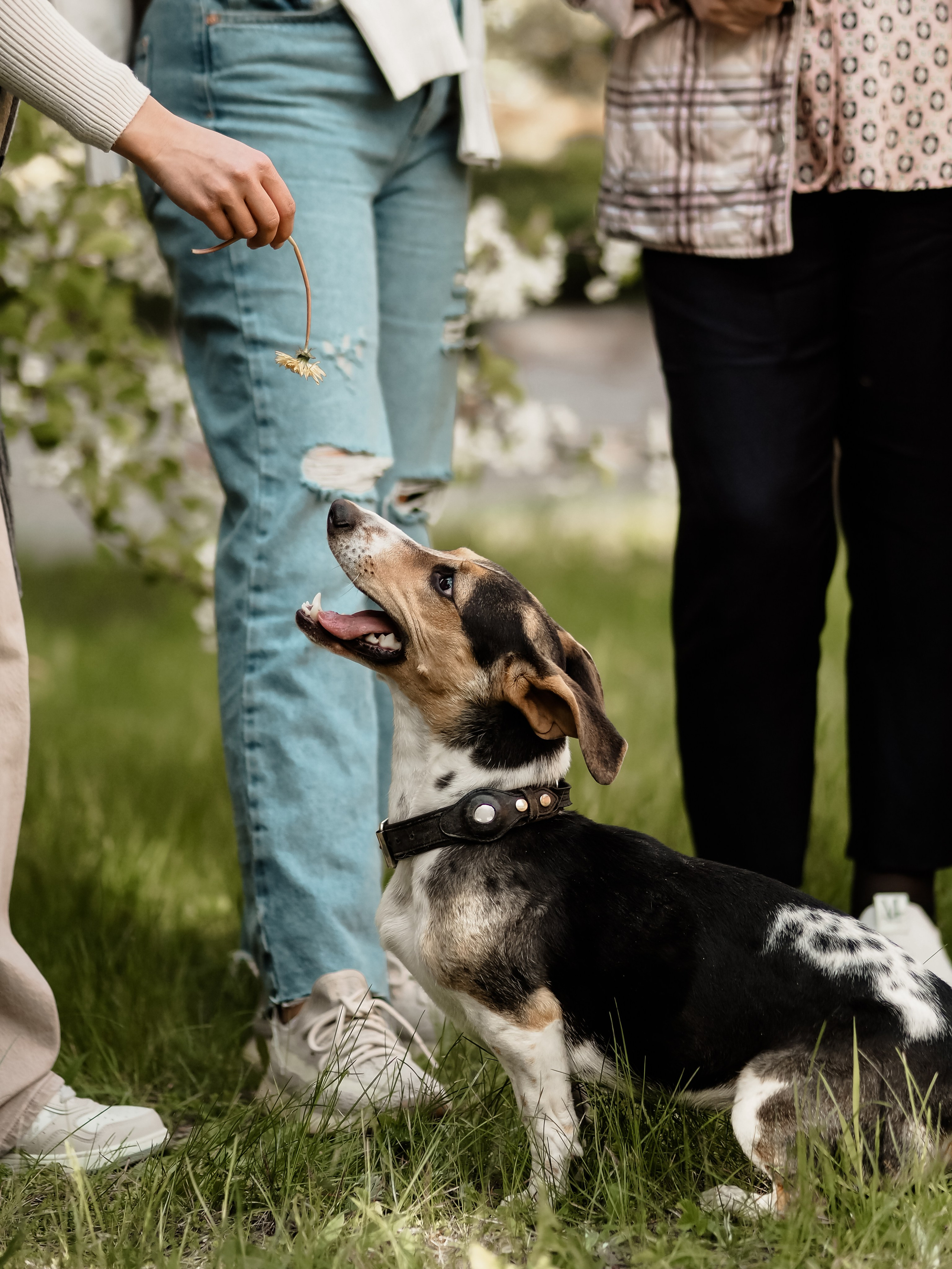 История. Фотограф Рязань. Семейный Свадебный фотограф