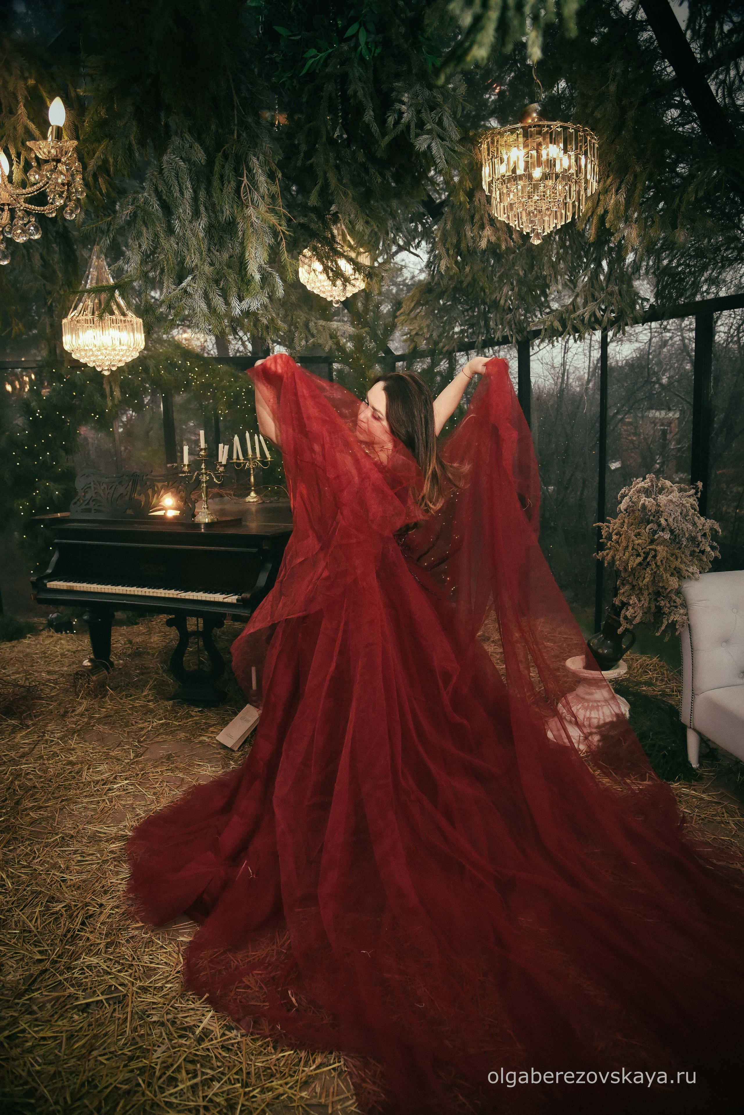 Новогодняя фотосессия с роялем
