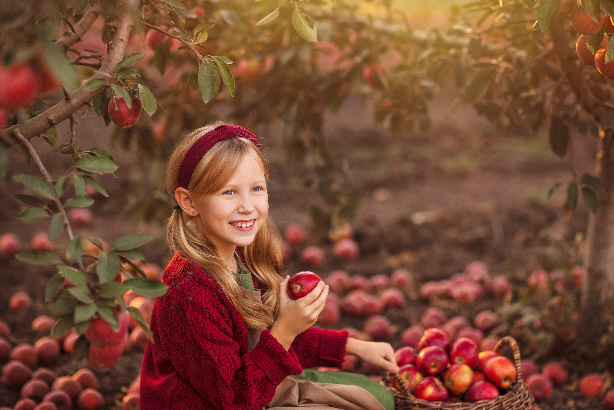 Сбор урожая Яблок. Семейный и детский фотограф в Краснодаре Анна Трашкова