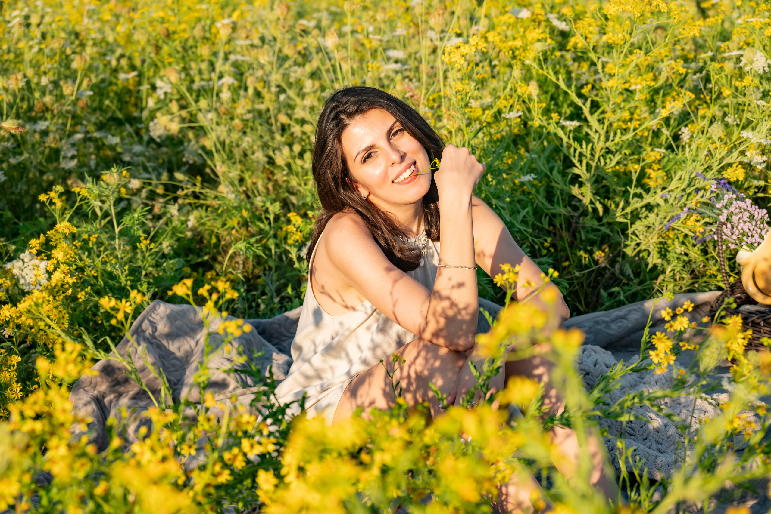 Летняя прогулка. Главная