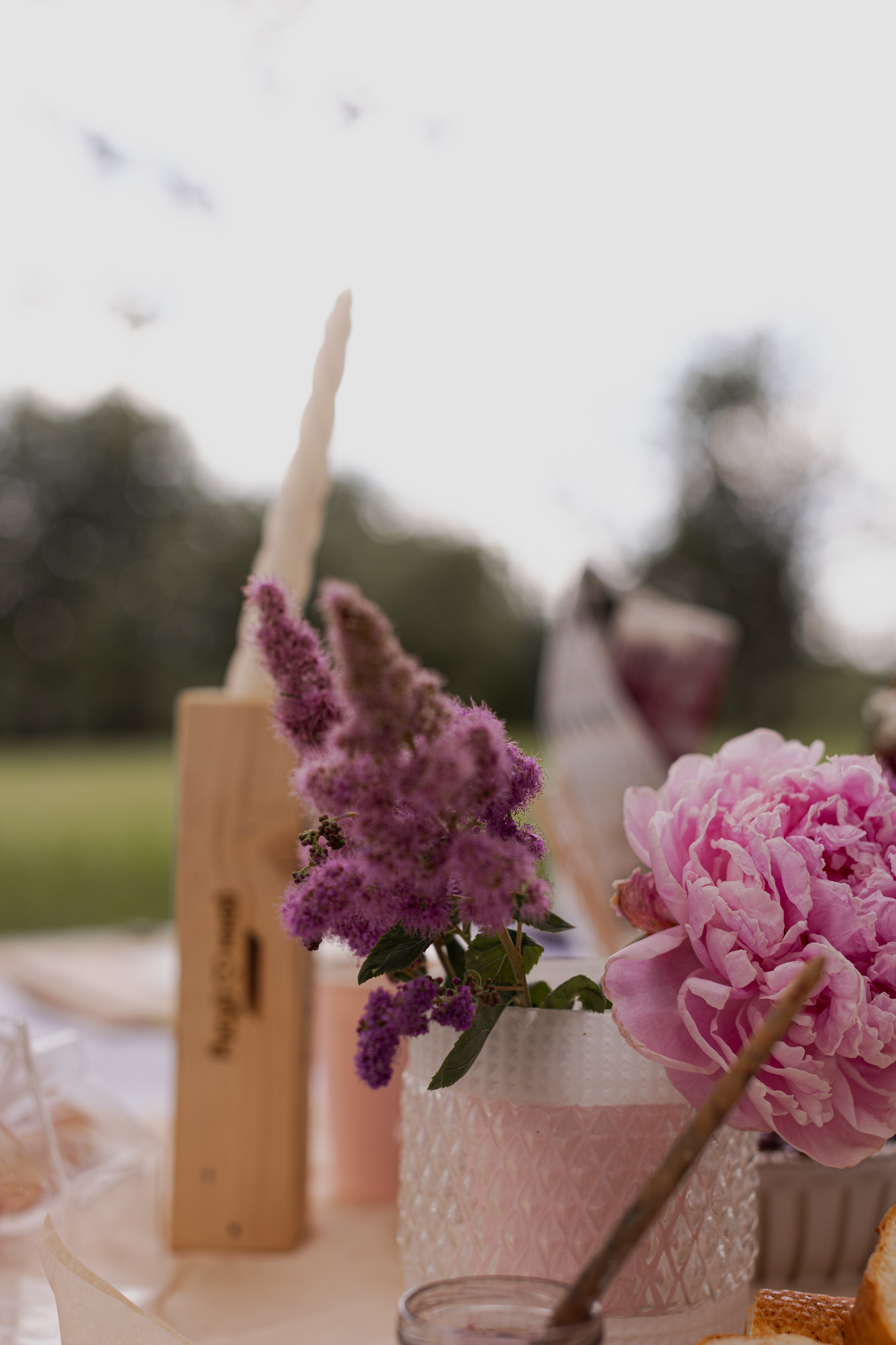 МК Пион (пикник в парке). Анастасия Ракчеева Художник