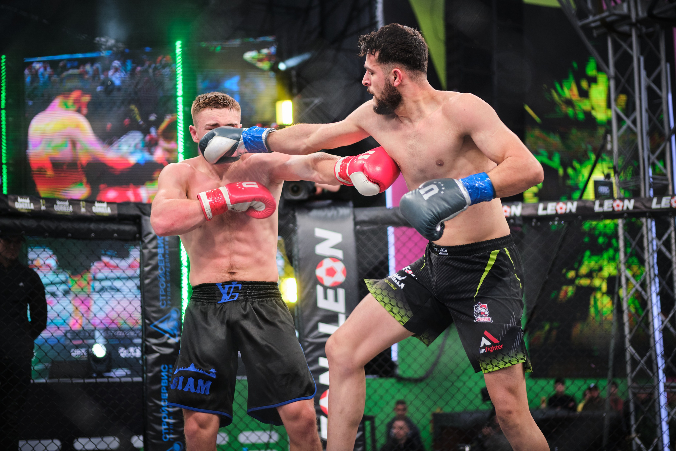 ММА на ПРО ГЕШ. Свадебный и семейный фотограф в Новокузнецке Иван Иванов